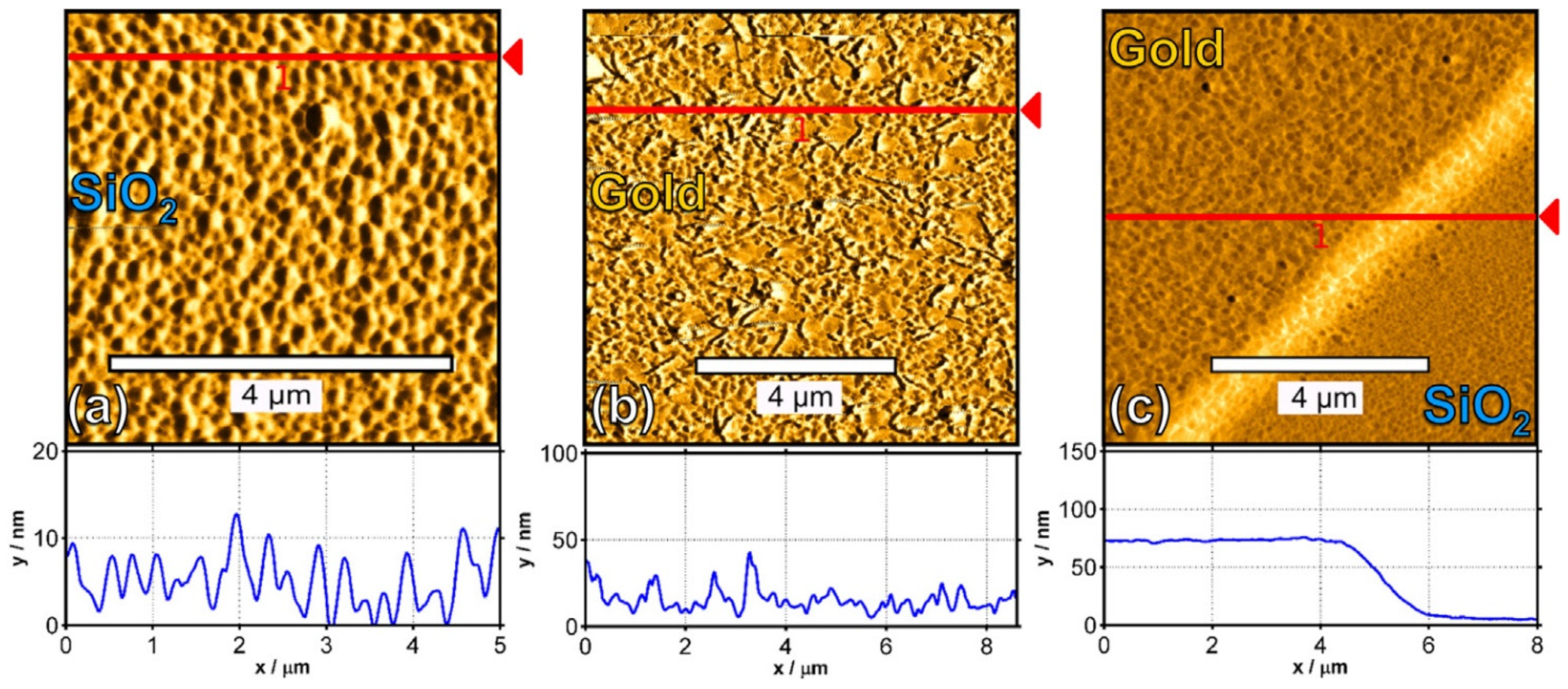 Polymers 14 01112 g012