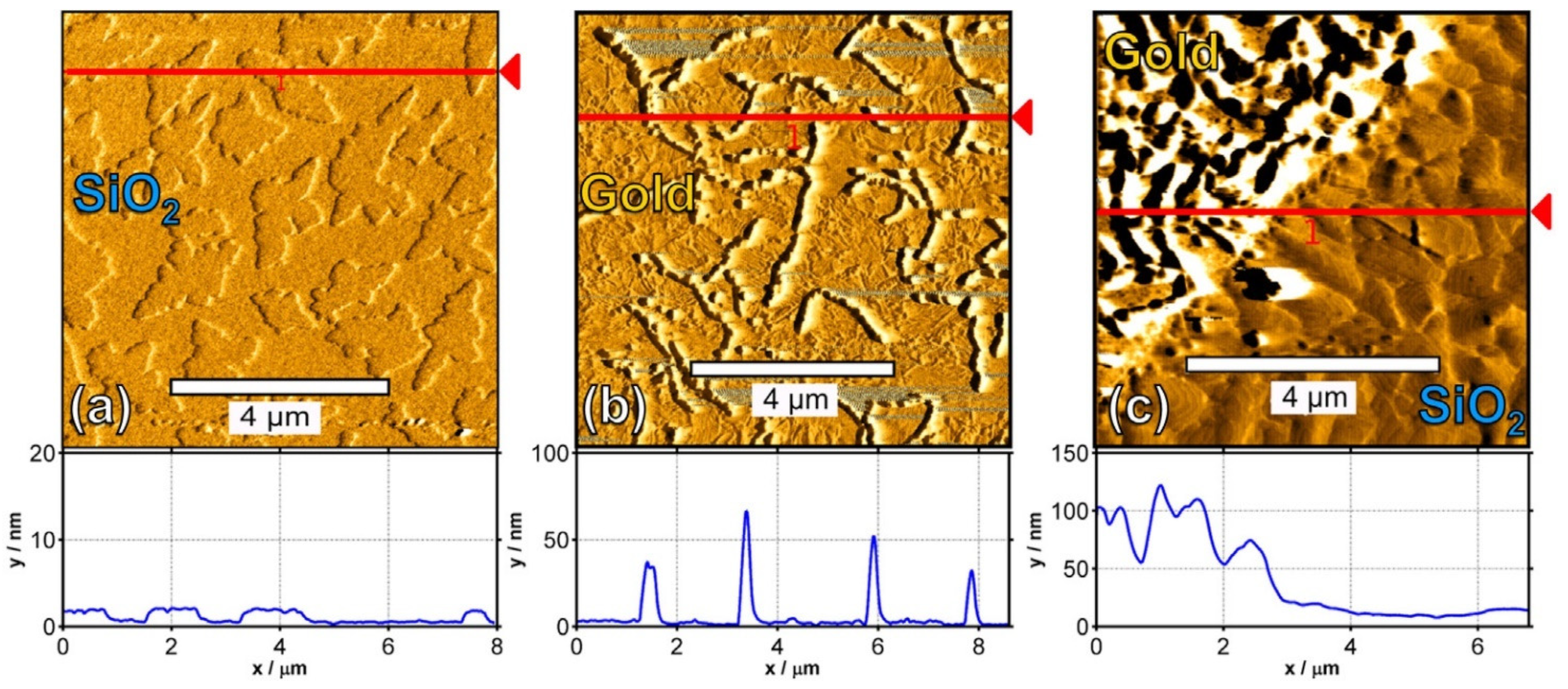 Polymers 14 01112 g013