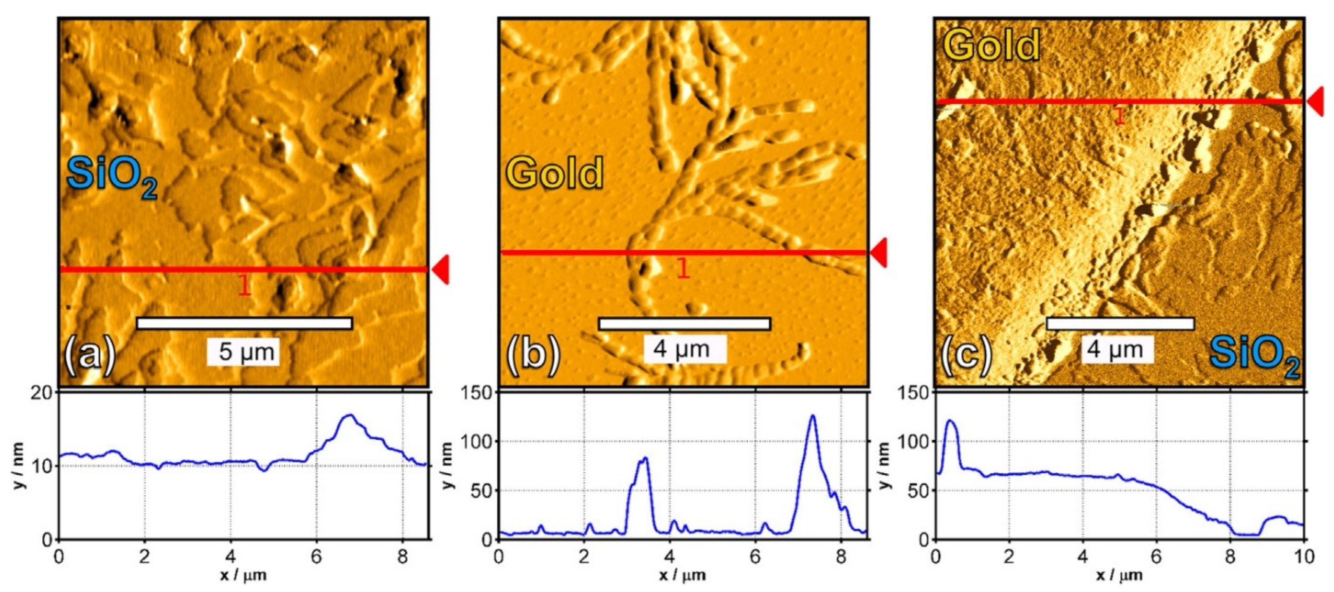 Polymers 14 01112 g014
