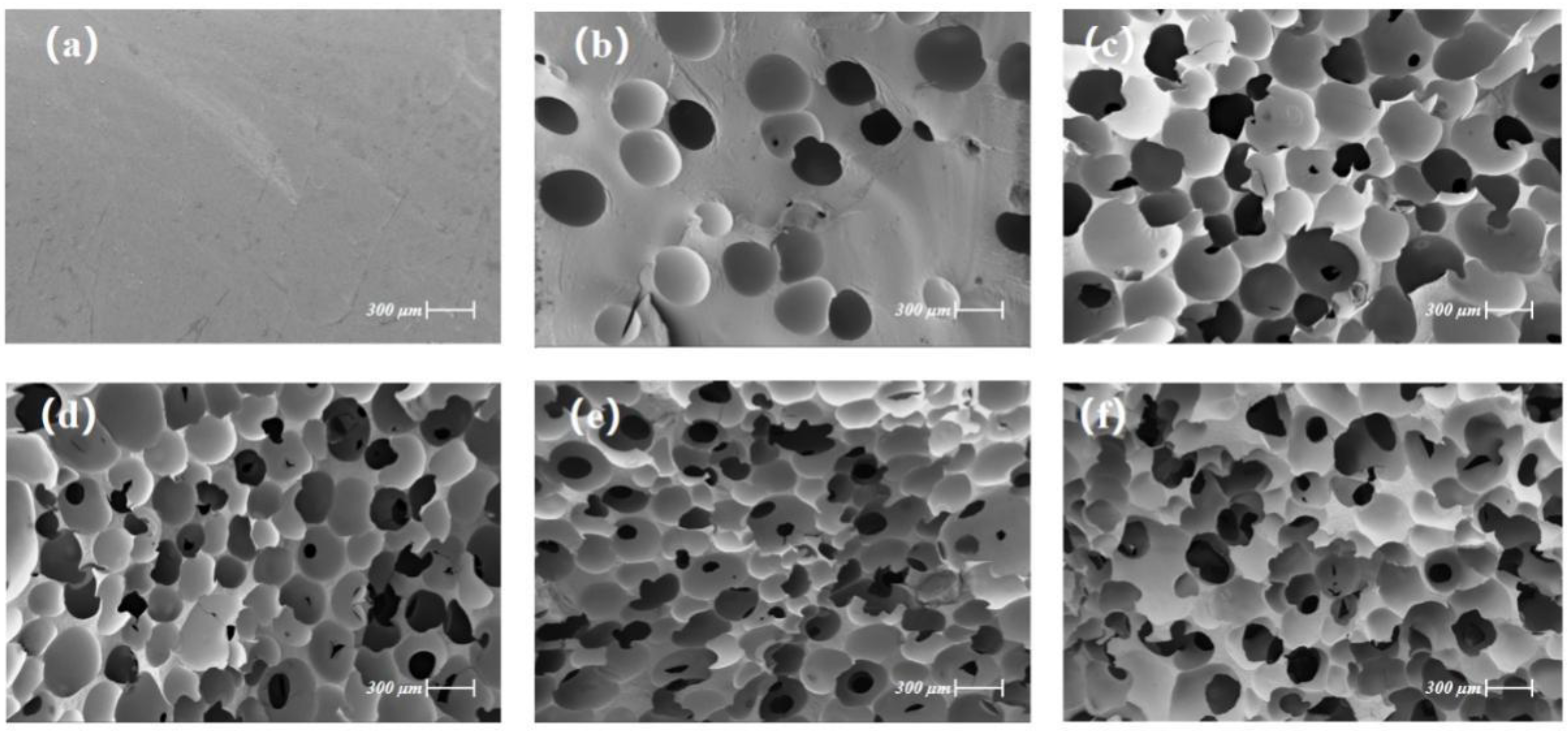 Polymers 14 01113 g005 550