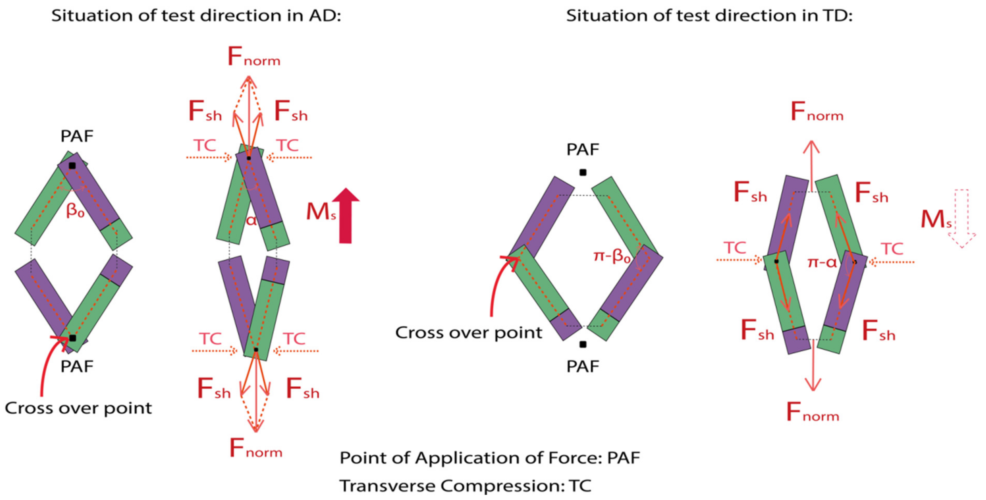 Polymers 14 01117 g013