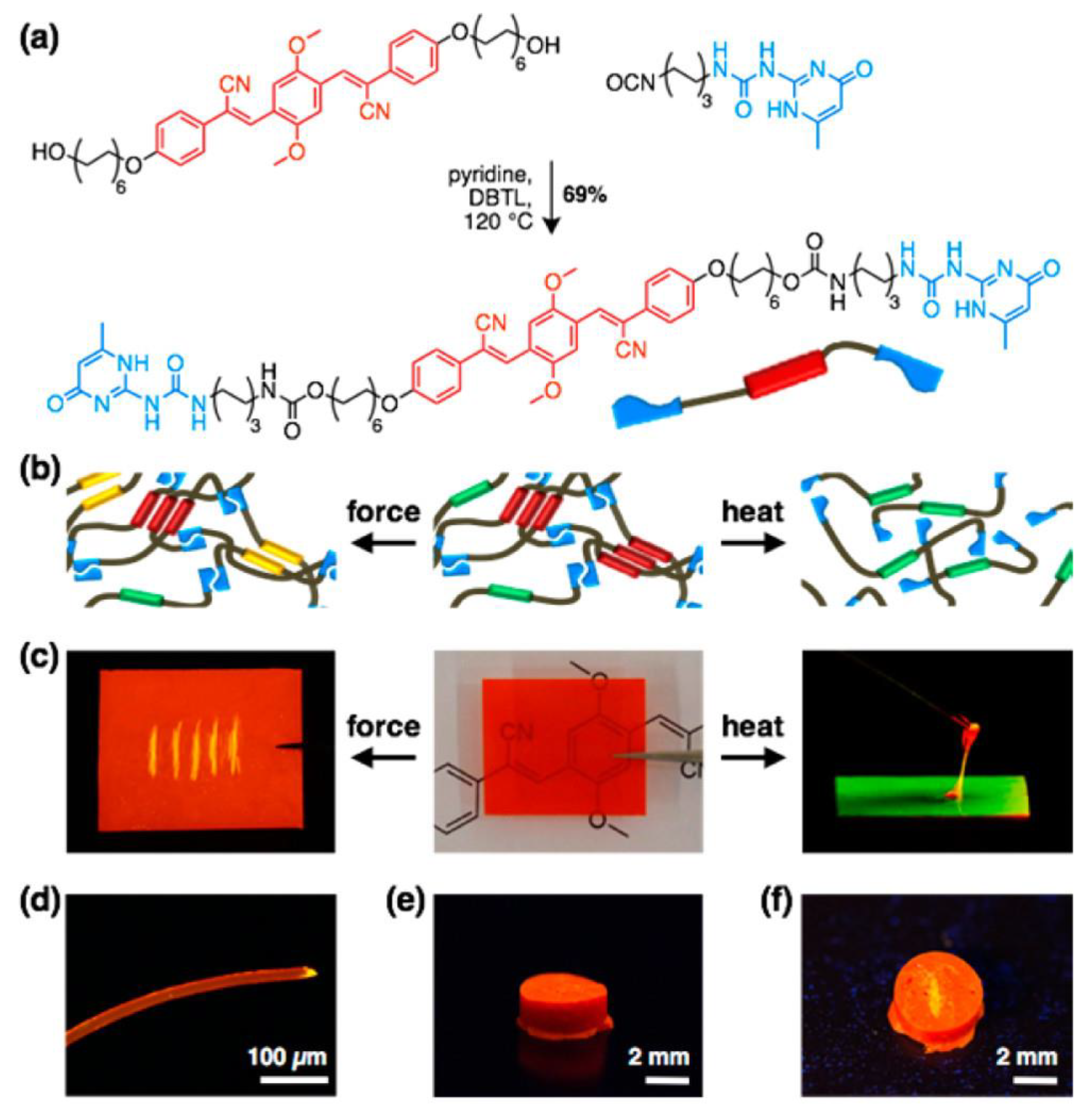 Polymers 14 01118 g003 550