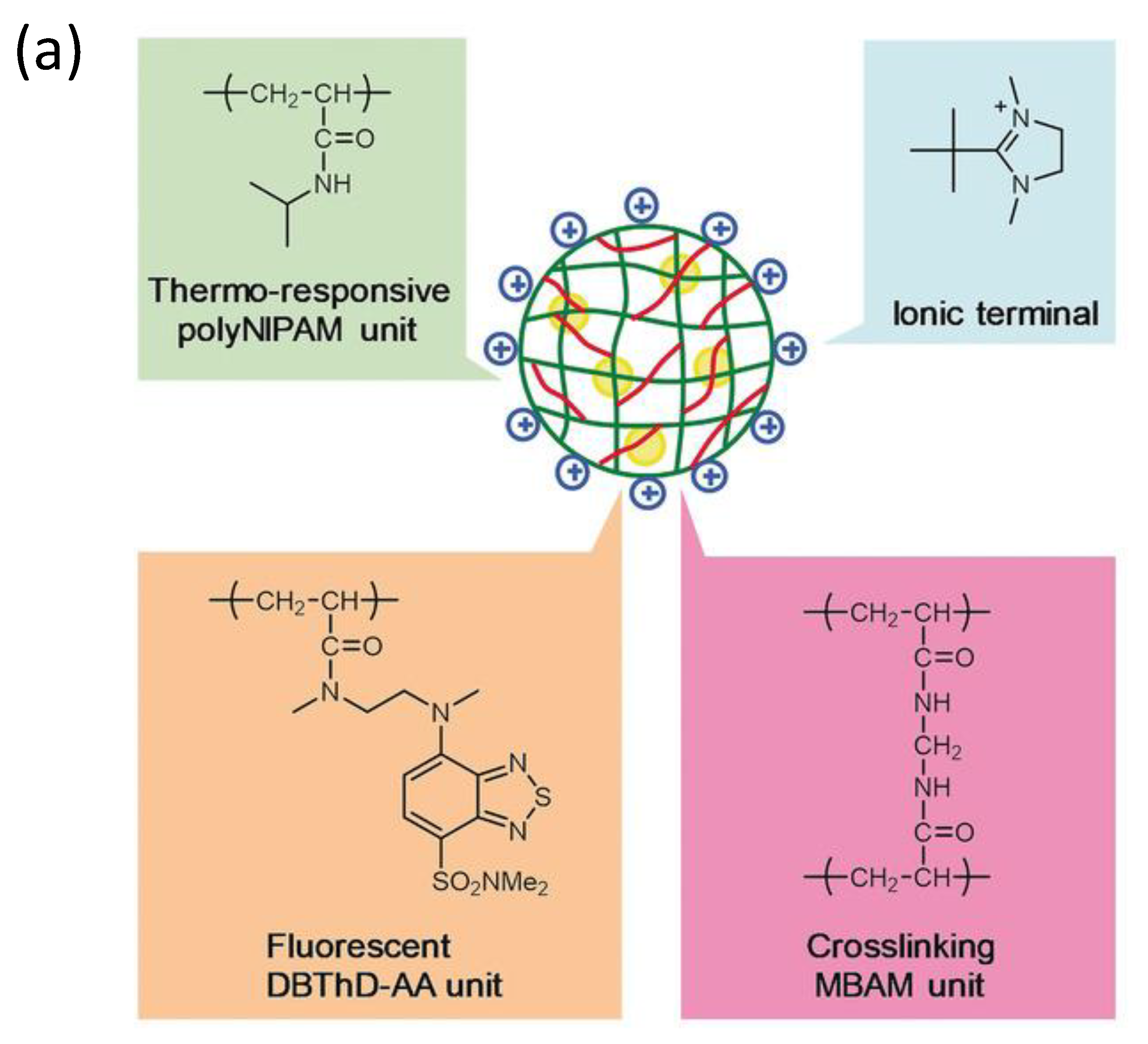 Polymers 14 01118 g009a 550