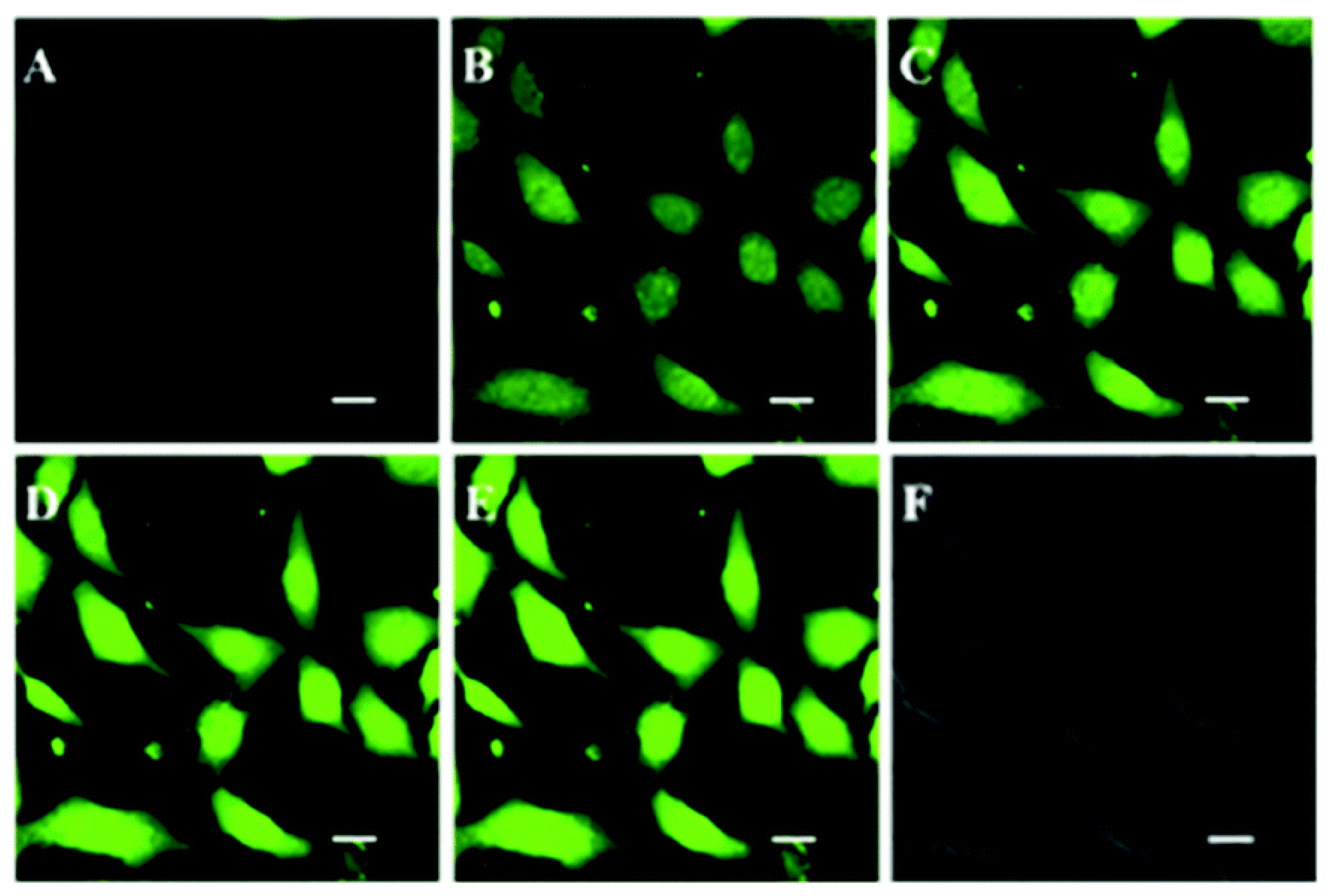 Polymers 14 01118 g020 550
