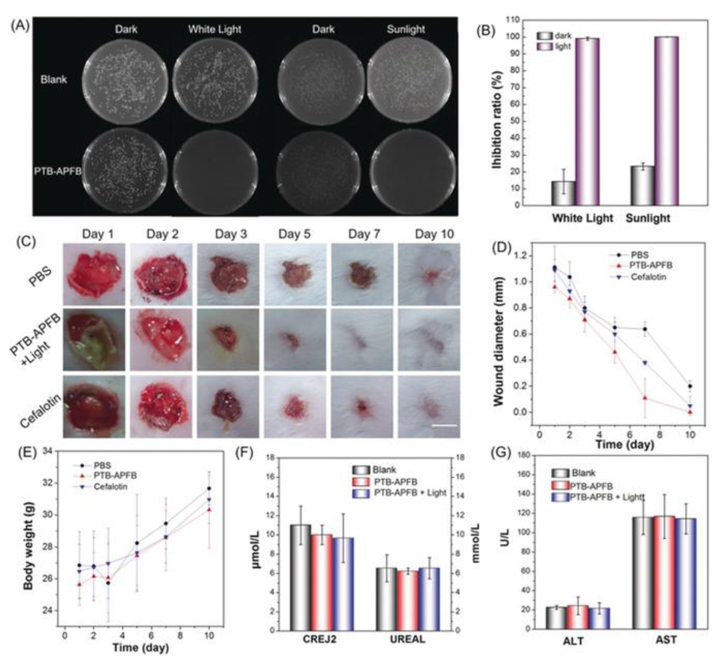 Polymers 14 01118 g023 550