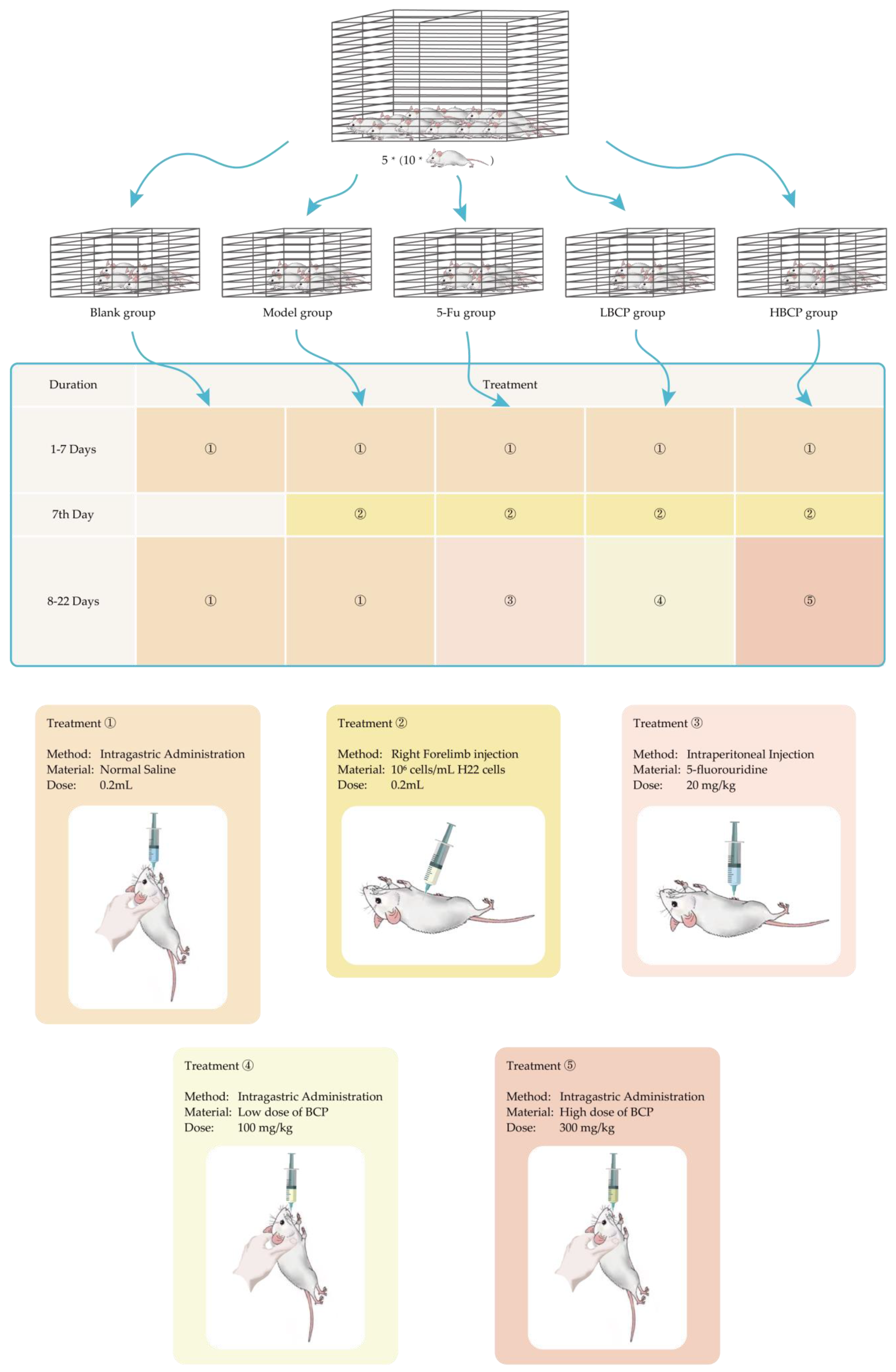 Polymers 14 01119 g002 Polymers 14 01119 g002