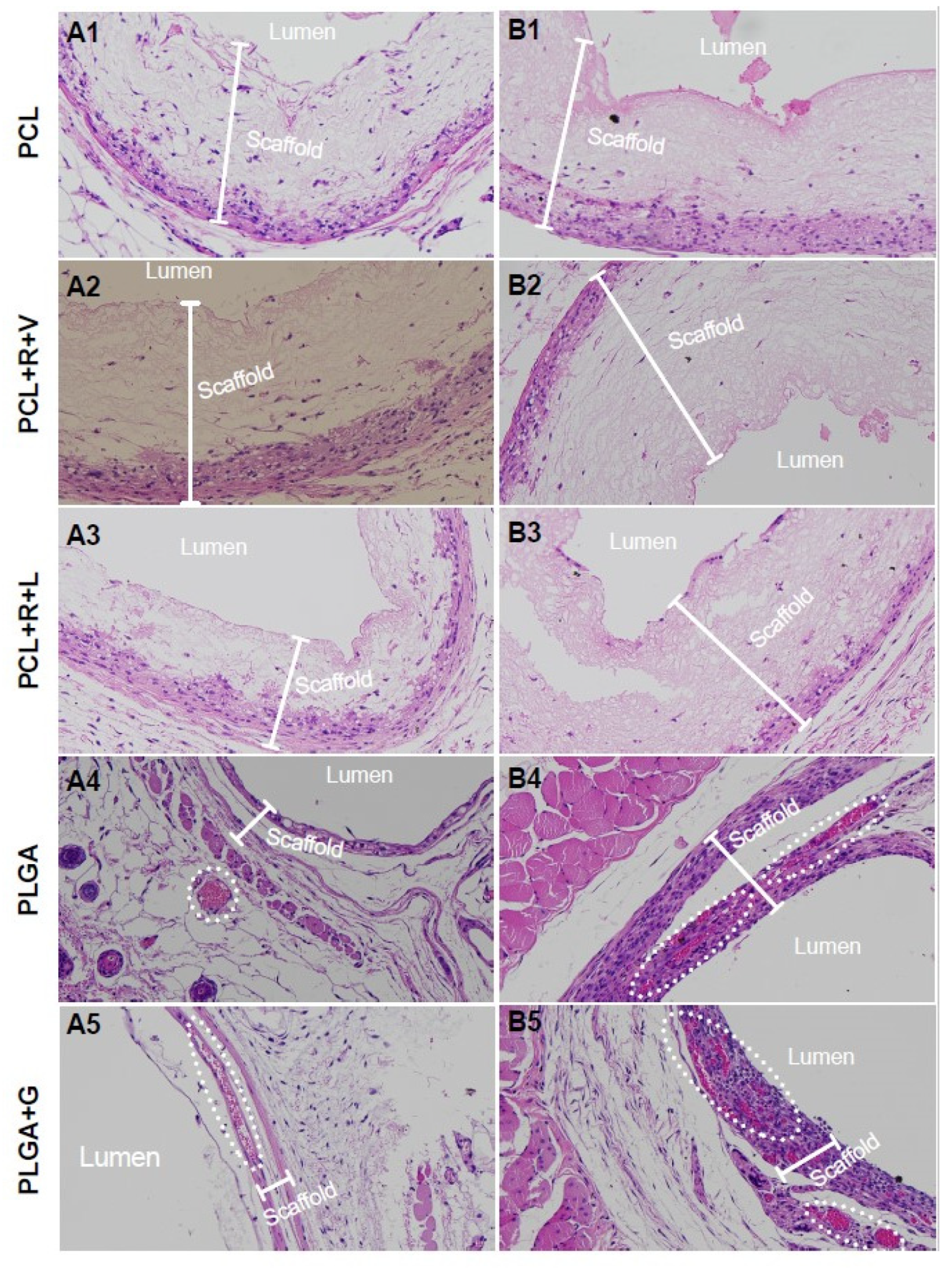 Polymers 14 01120 g002 Polymers 14 01120 g002