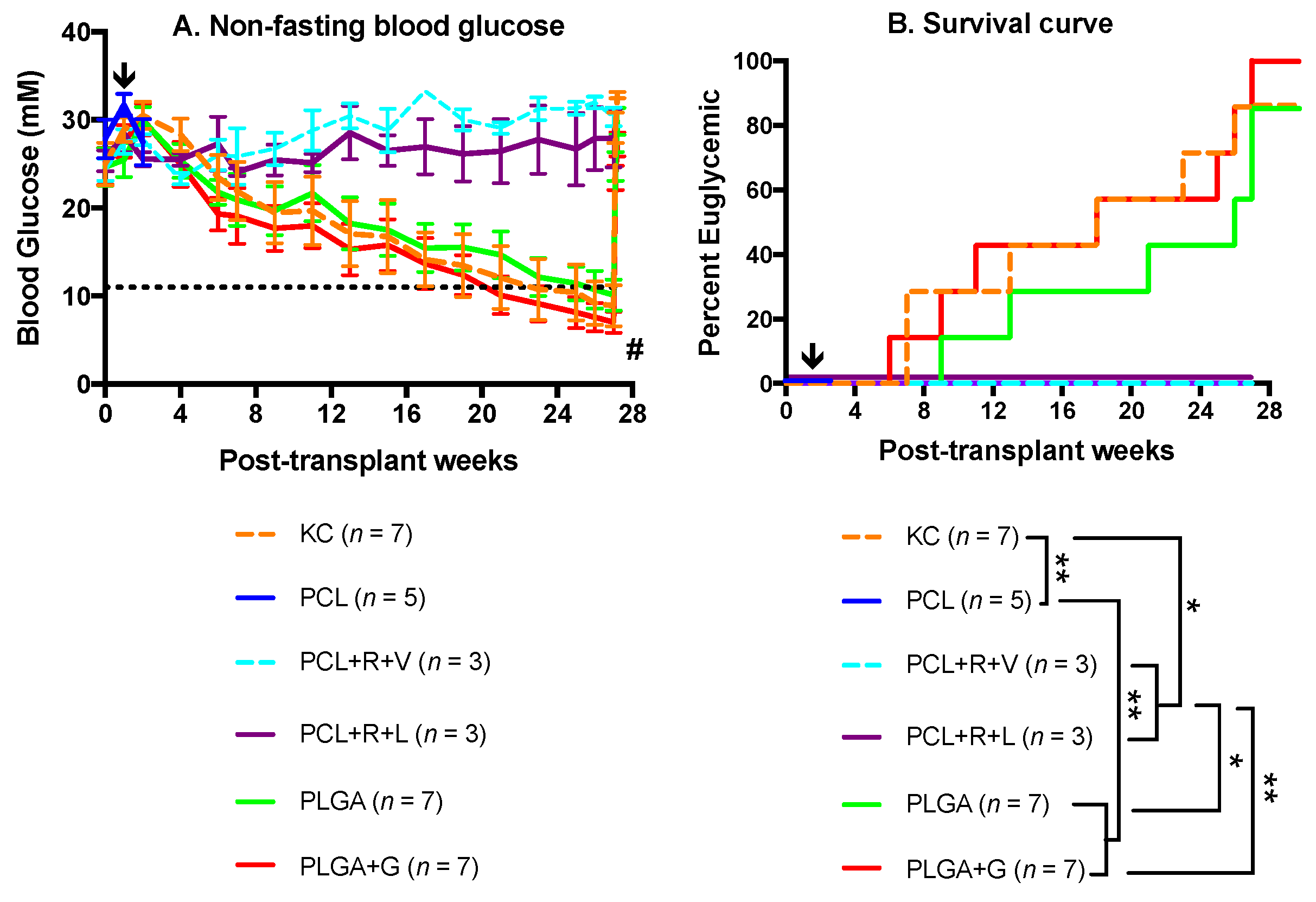Polymers 14 01120 g003 Polymers 14 01120 g003