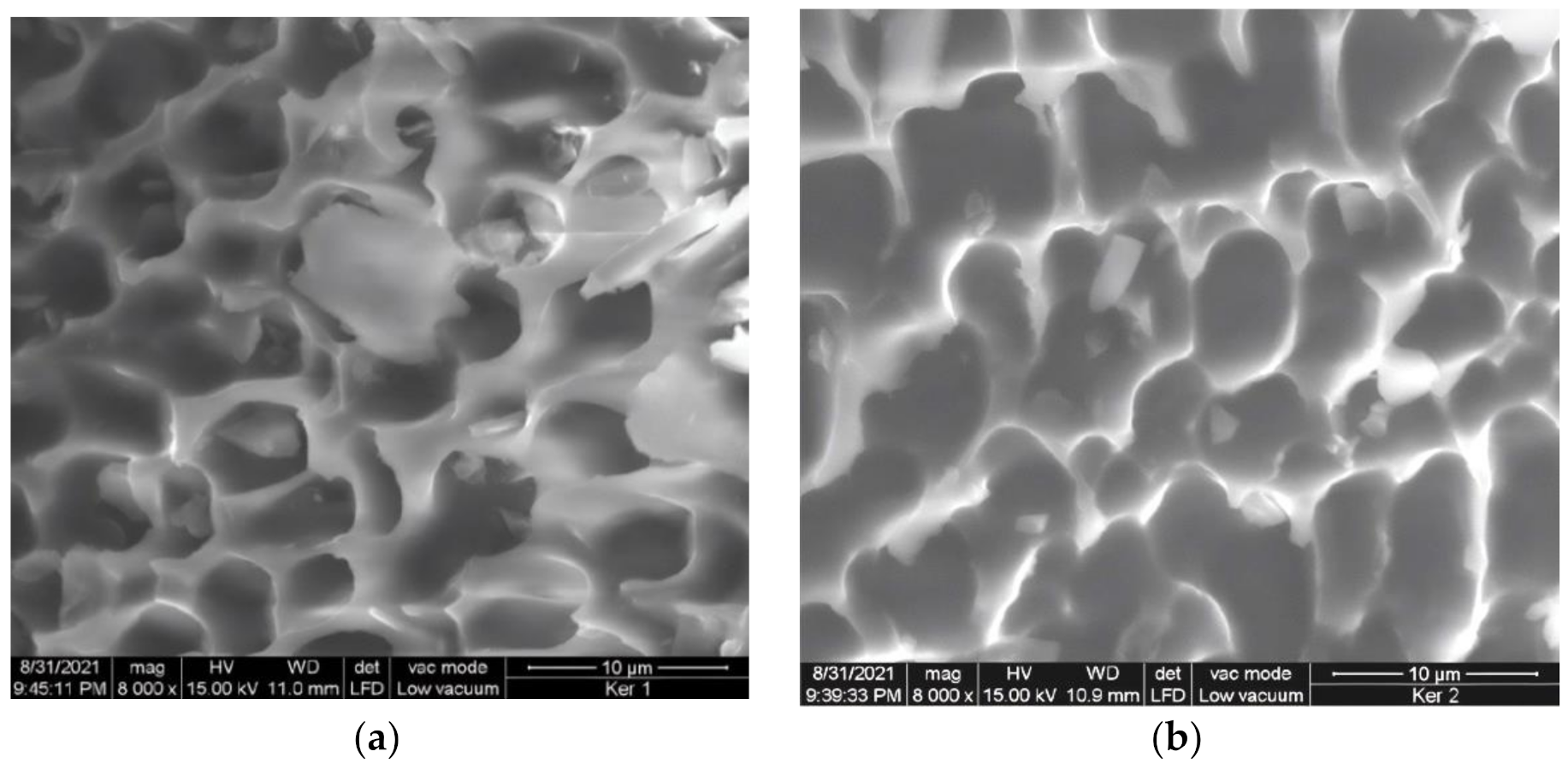 Polymers 14 01125 g002