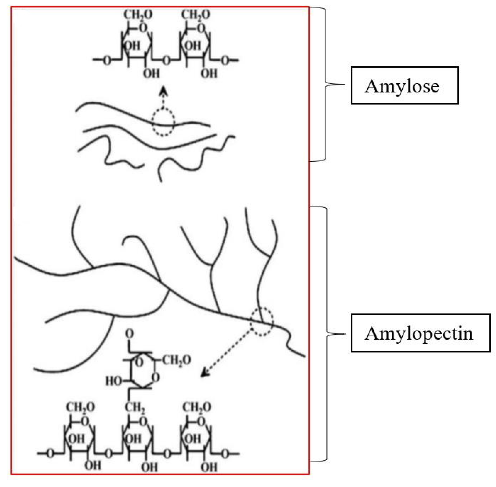 Polymers 14 01126 g002 Polymers 14 01126 g002