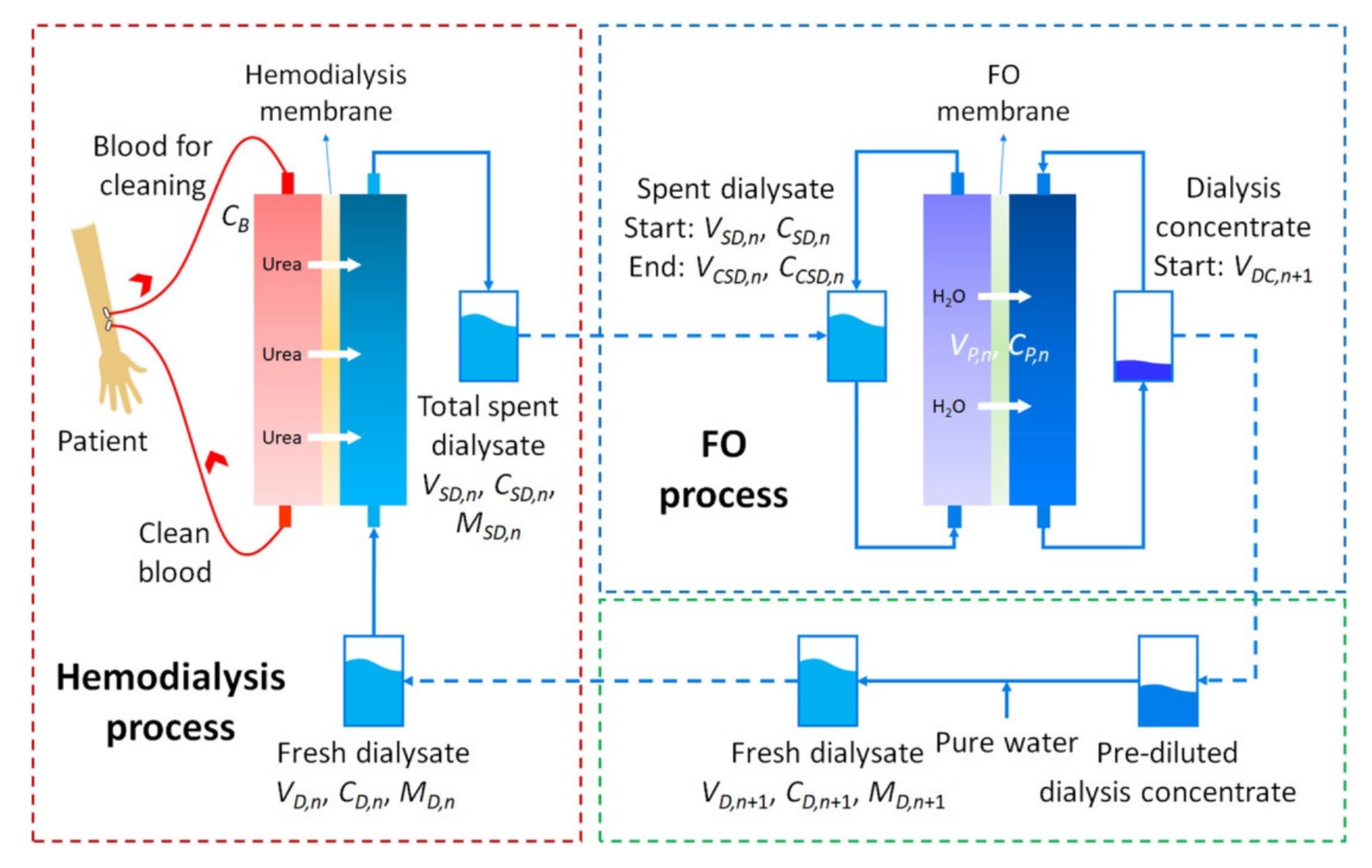 Polymers Free FullText Functionalized Hemodialysis Polysulfone