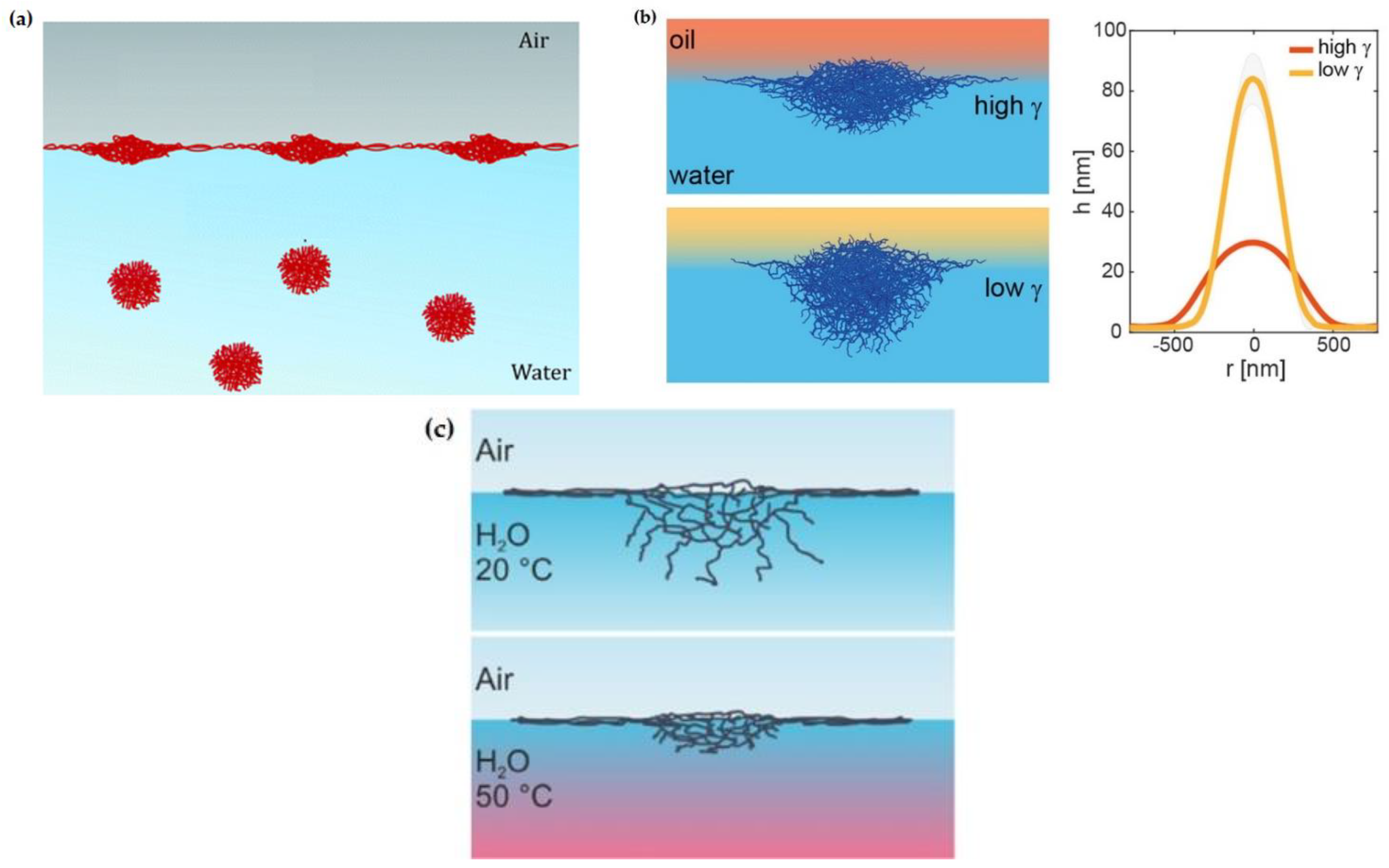 Polymers 14 01133 g001