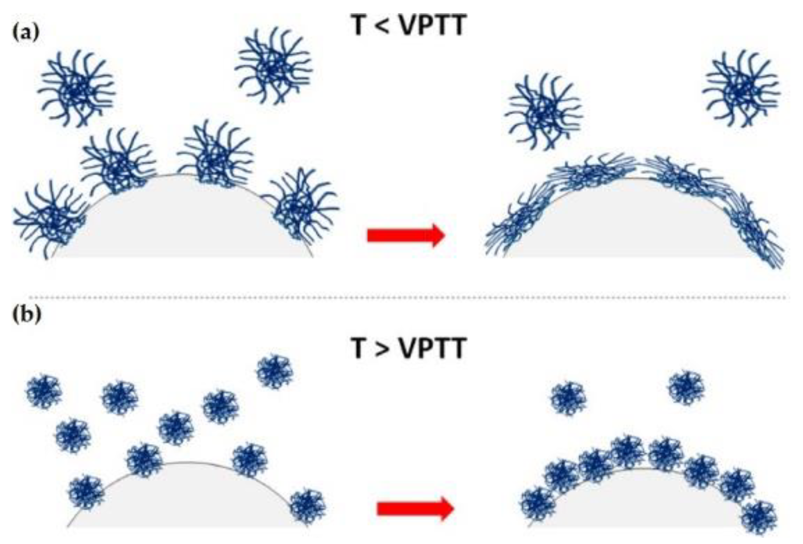 Polymers 14 01133 g002
