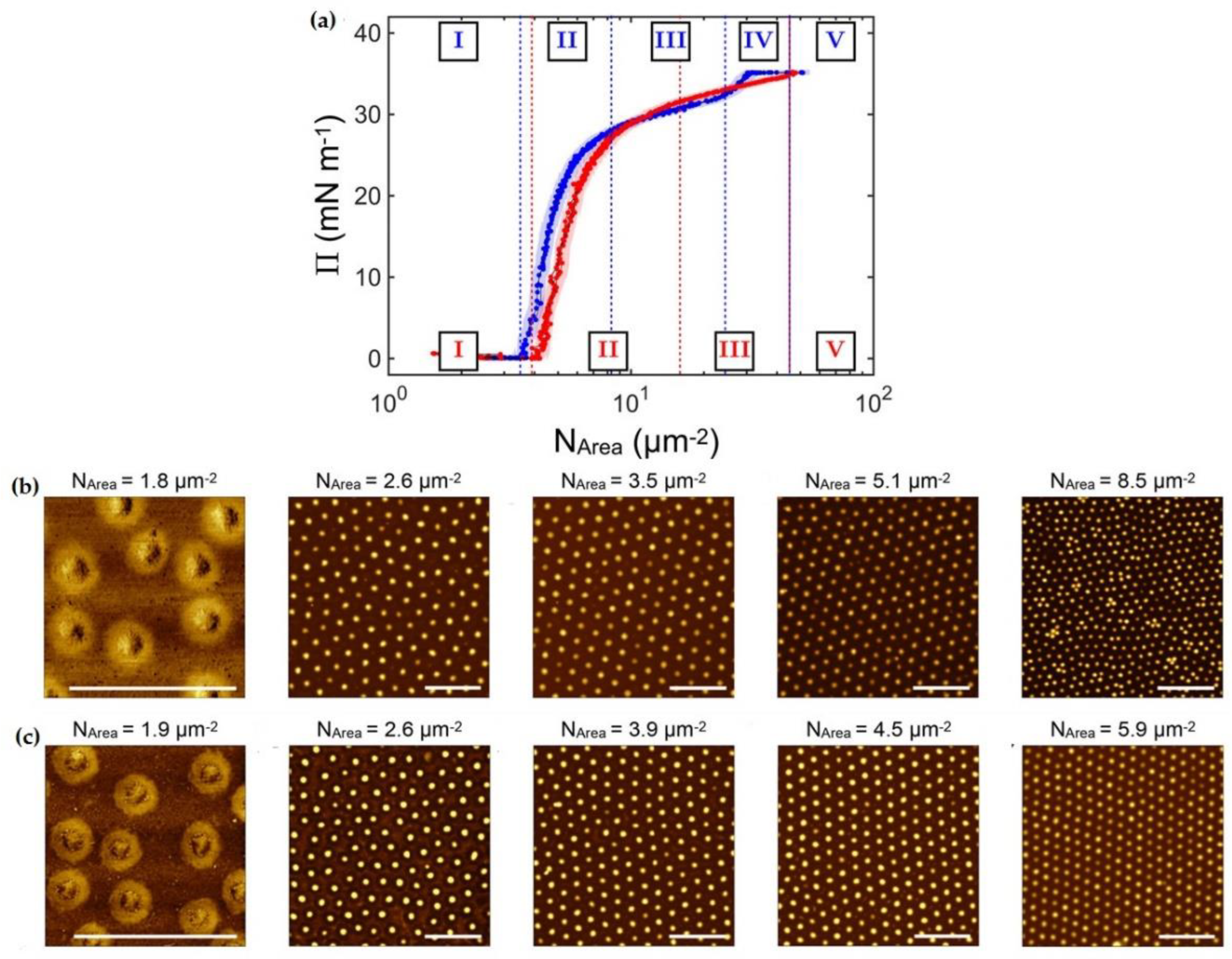 Polymers 14 01133 g003