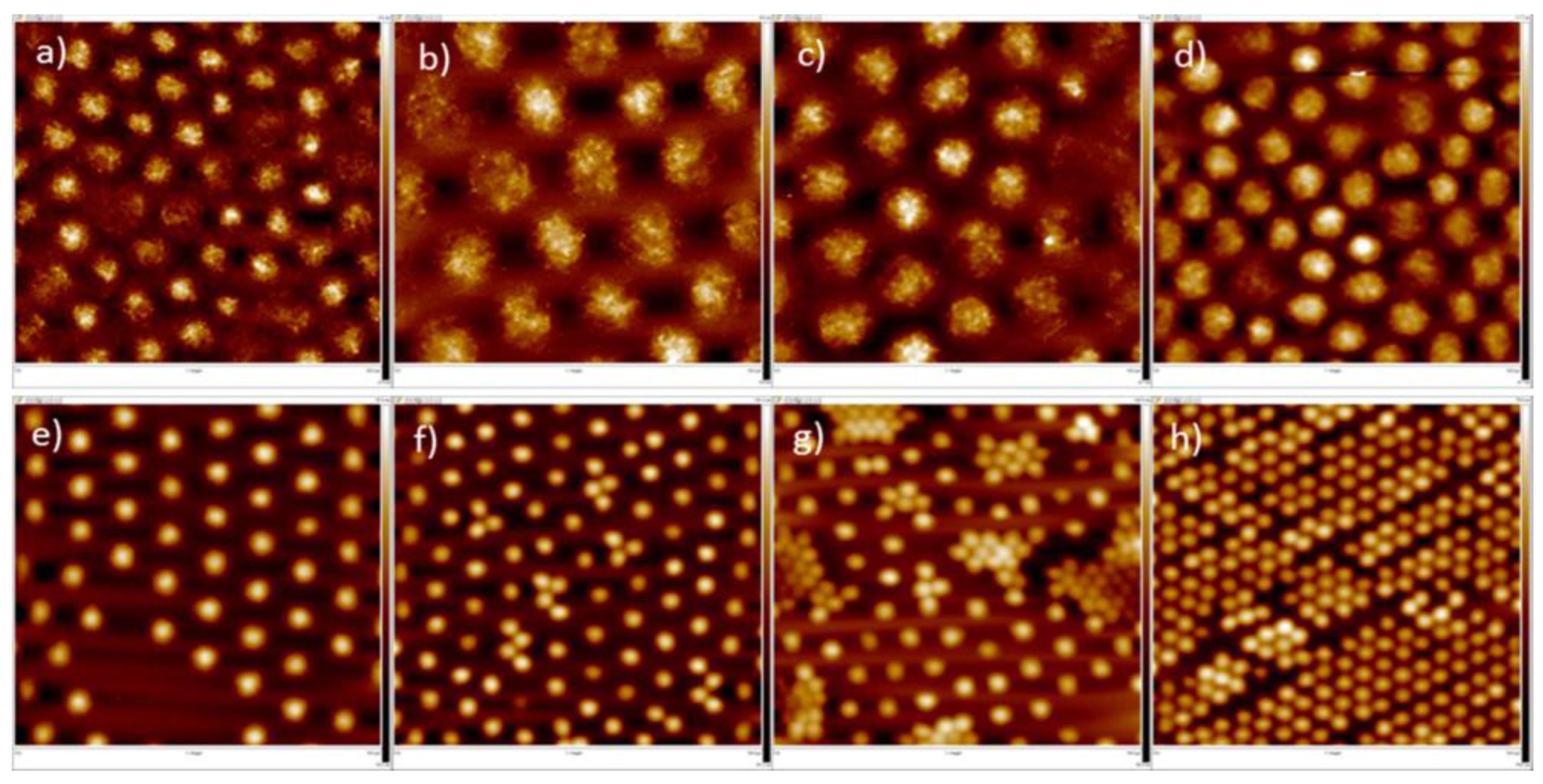 Polymers 14 01133 g004