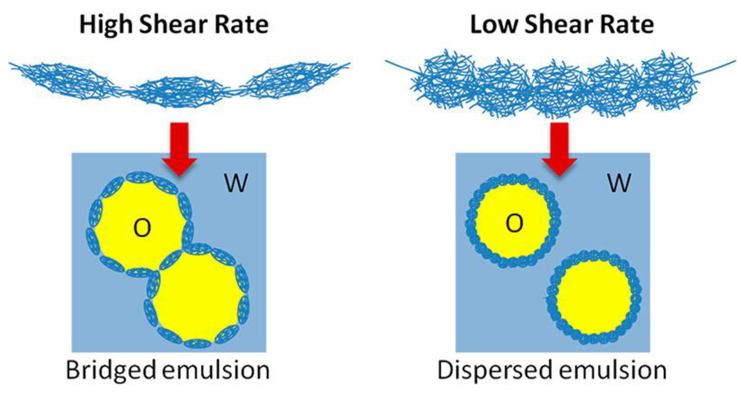 Polymers 14 01133 g008
