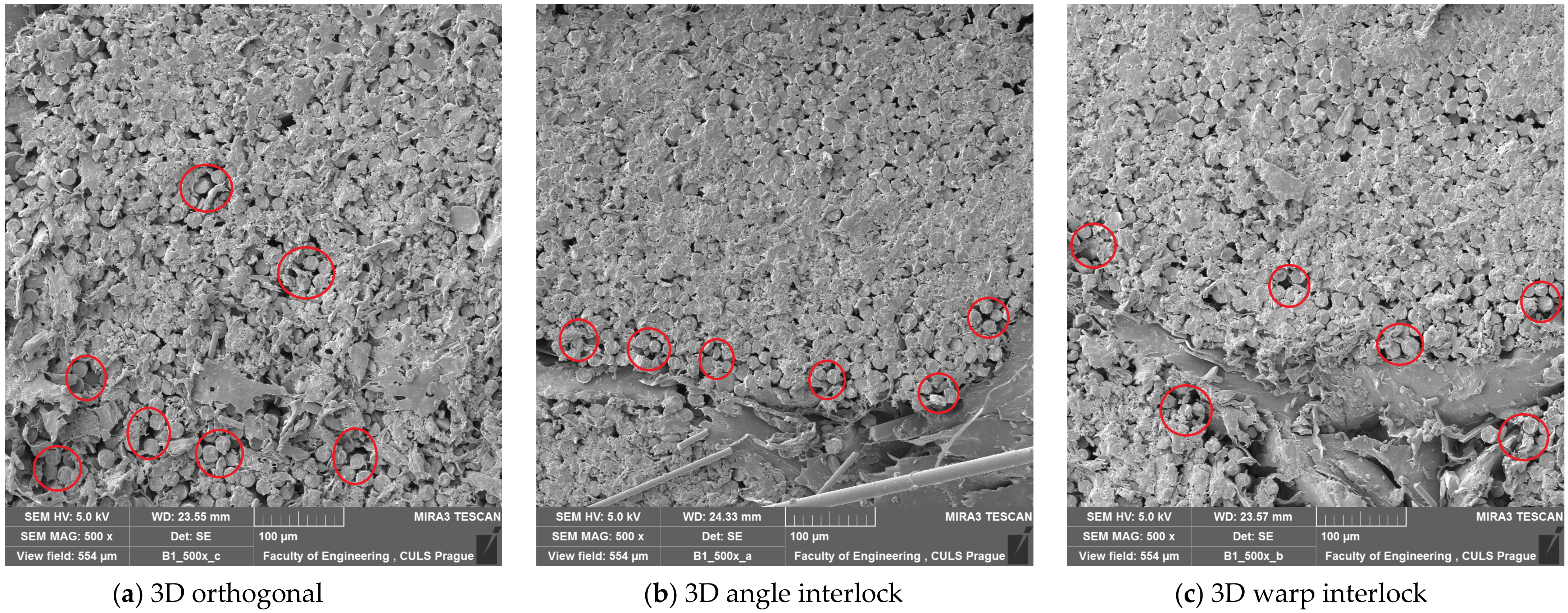 Polymers 14 01134 g011