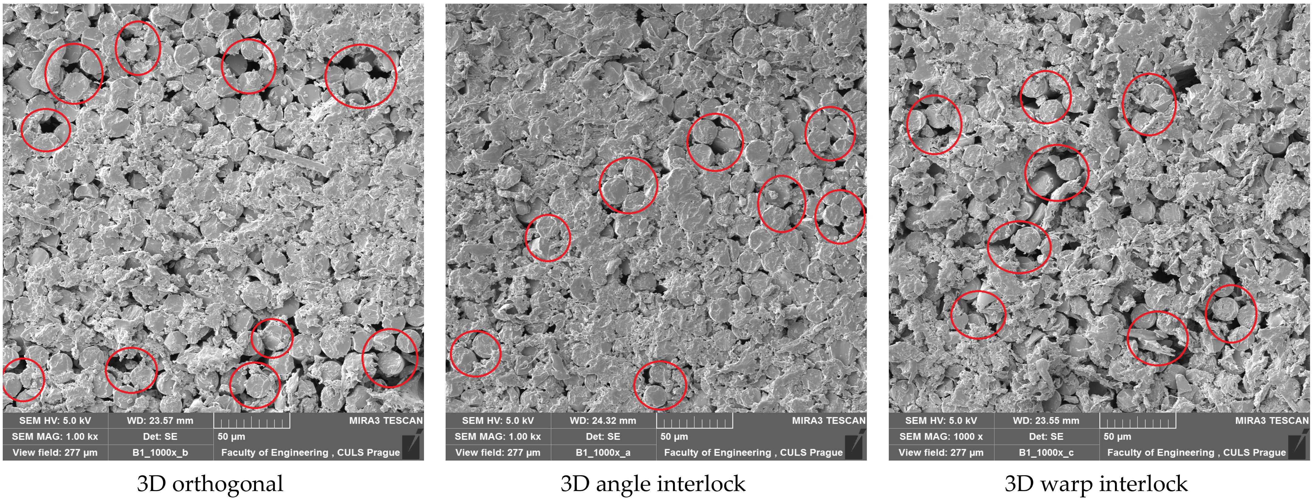 Polymers 14 01134 g017