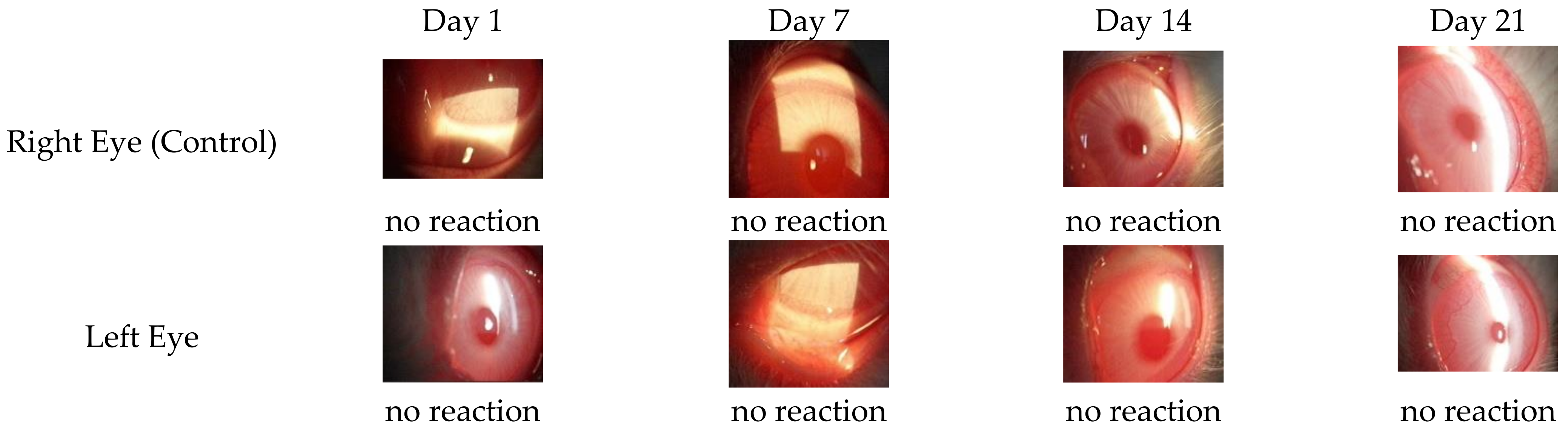 Polymers 14 01135 g005 550