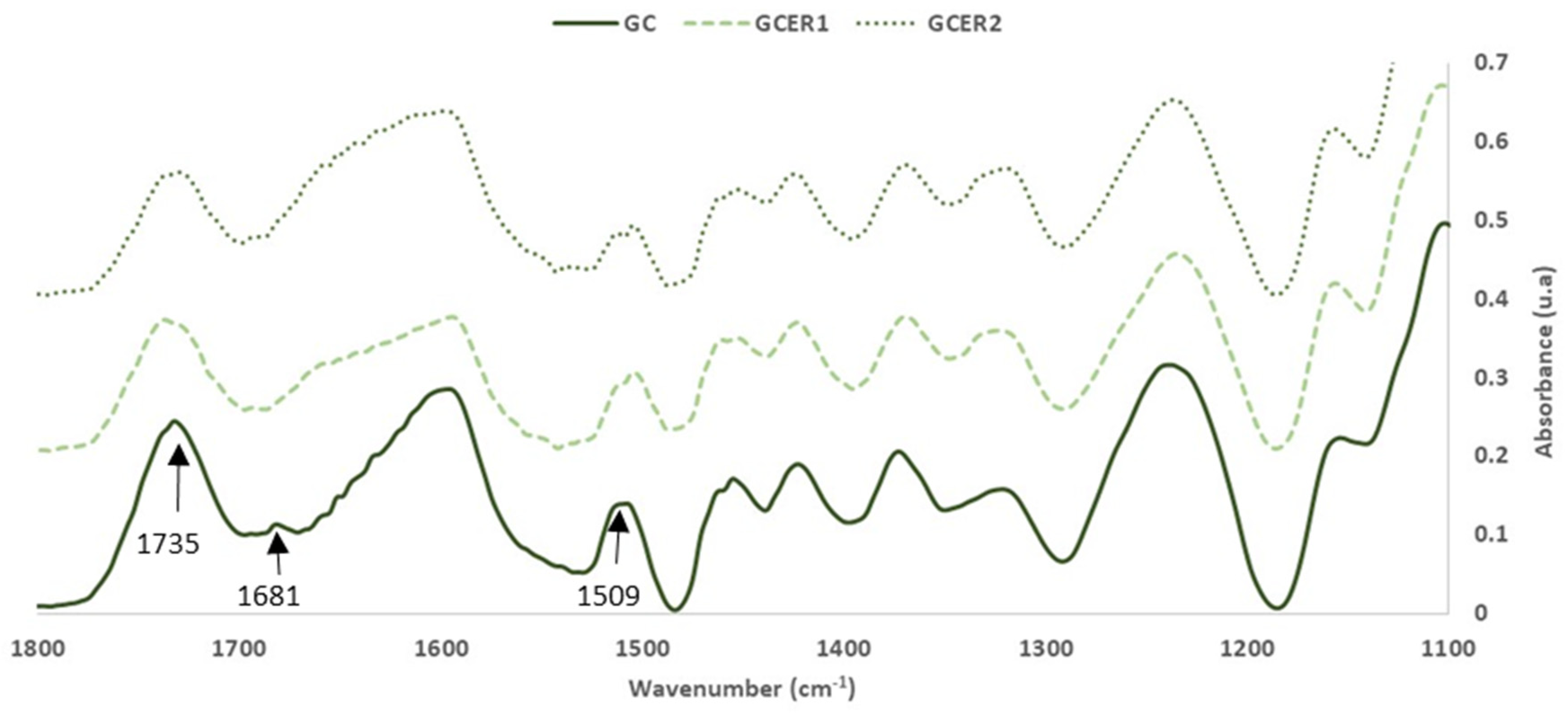 Polymers 14 01137 g002