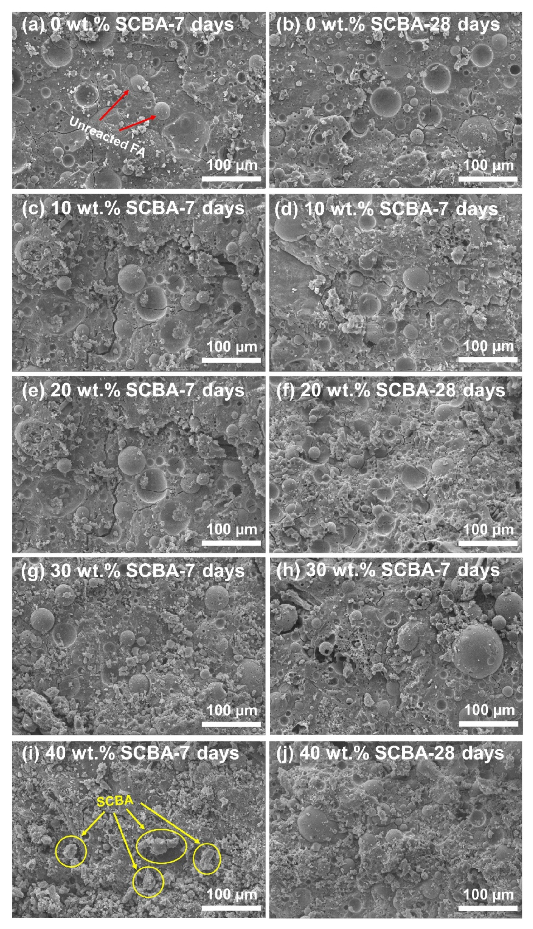 Polymers 14 01140 g006