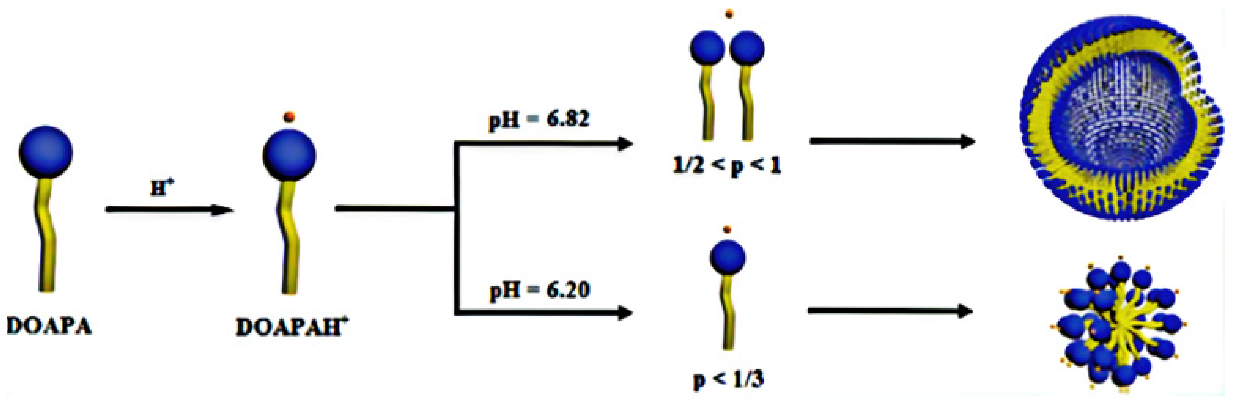 Polymers 14 01145 g001
