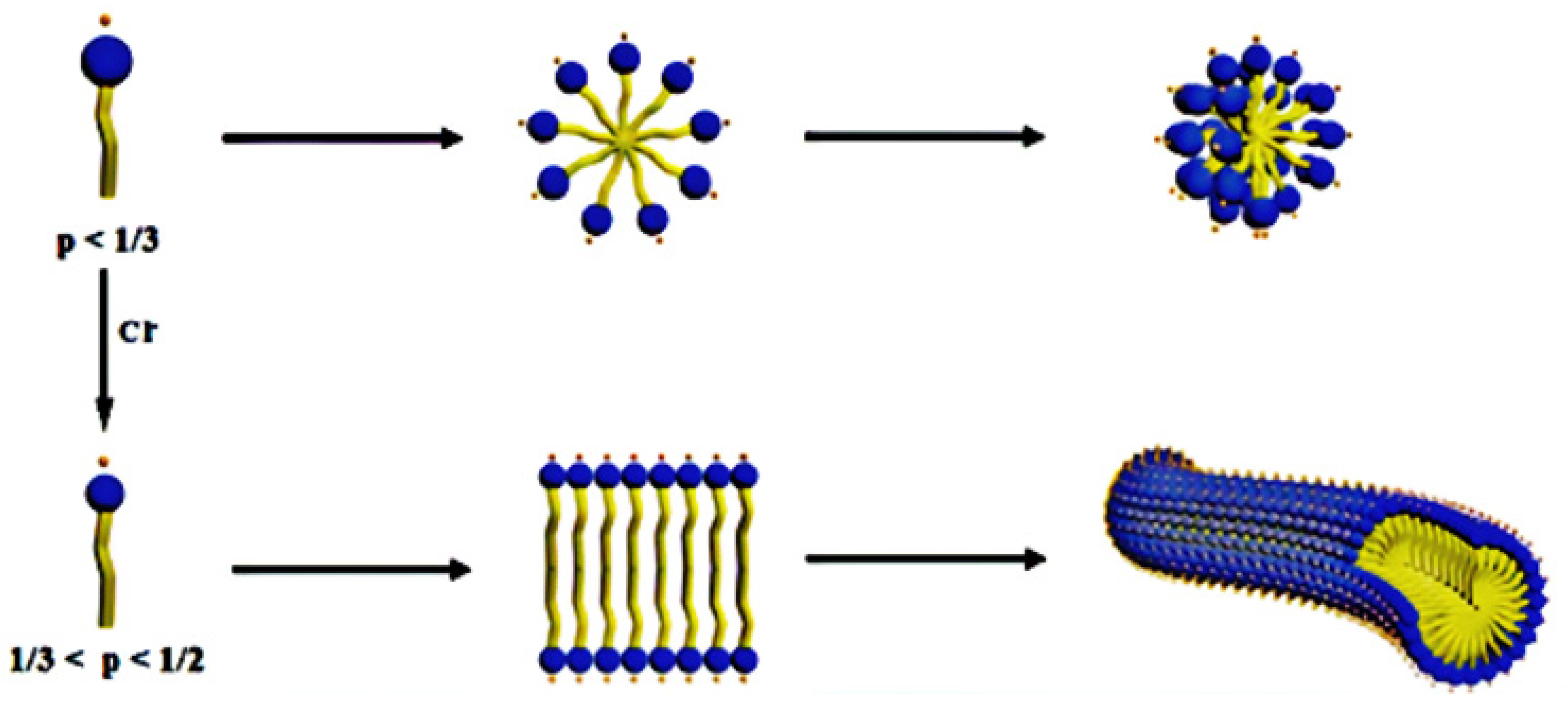 Polymers 14 01145 g002