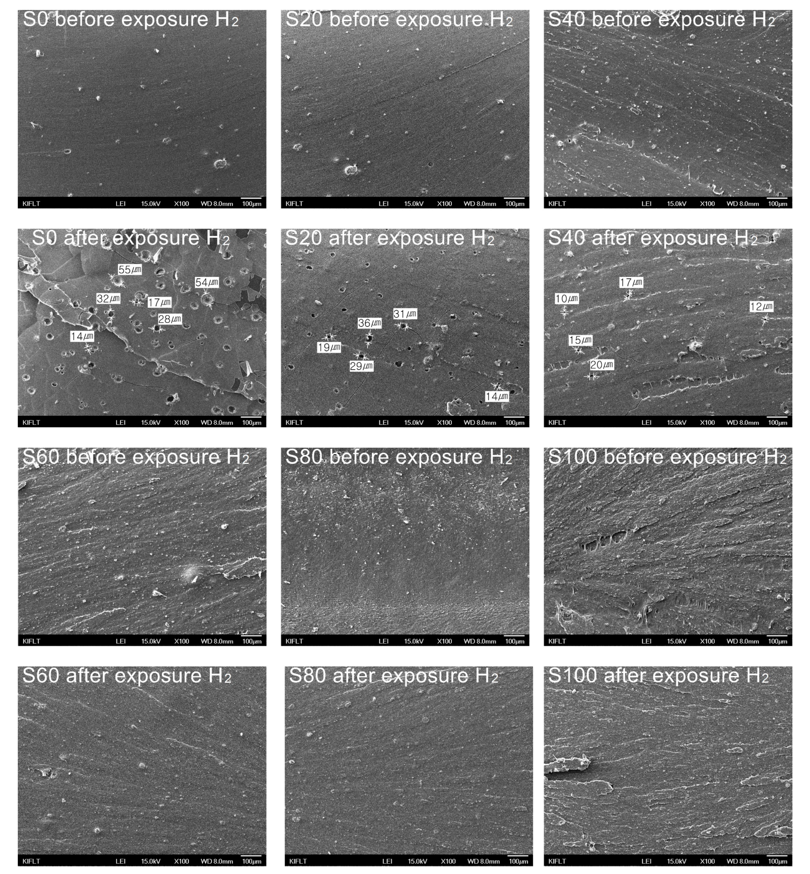 Polymers 14 01151 g009 550