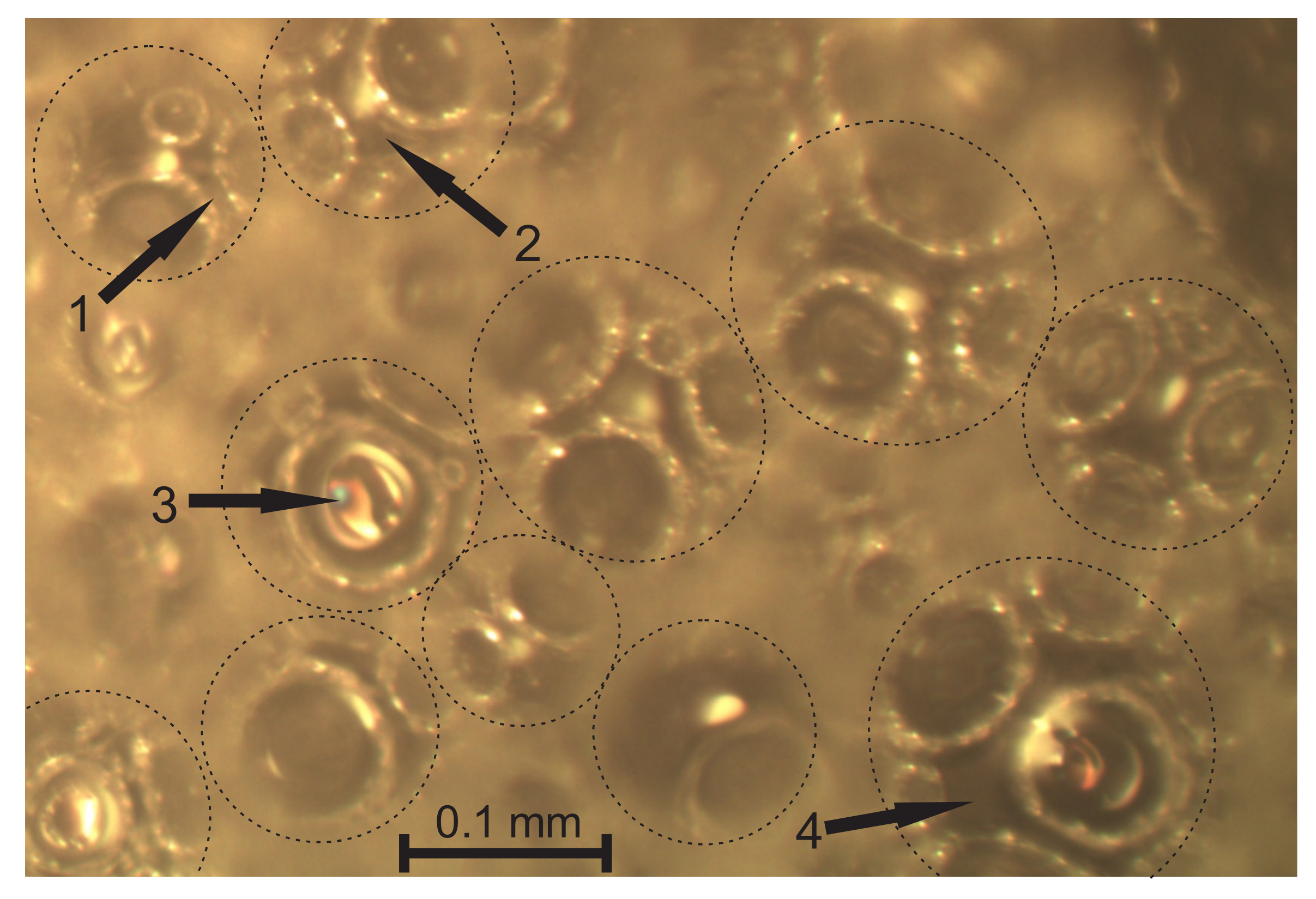 Polymers 14 01154 g004 550