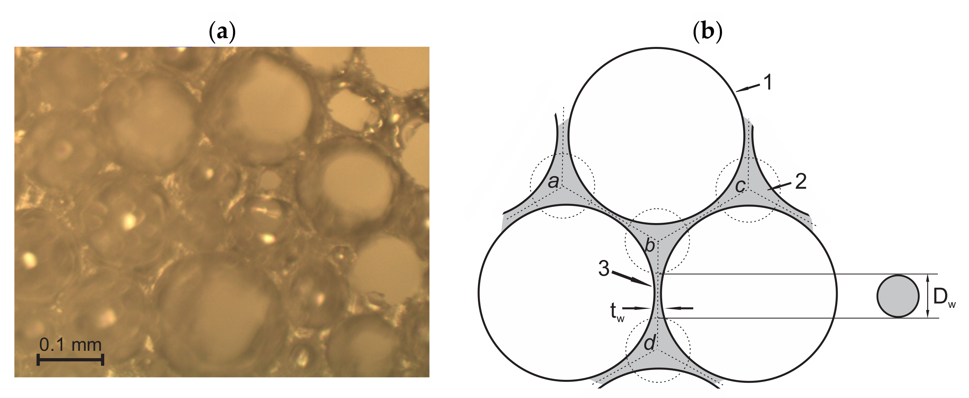 Polymers 14 01154 g005 550