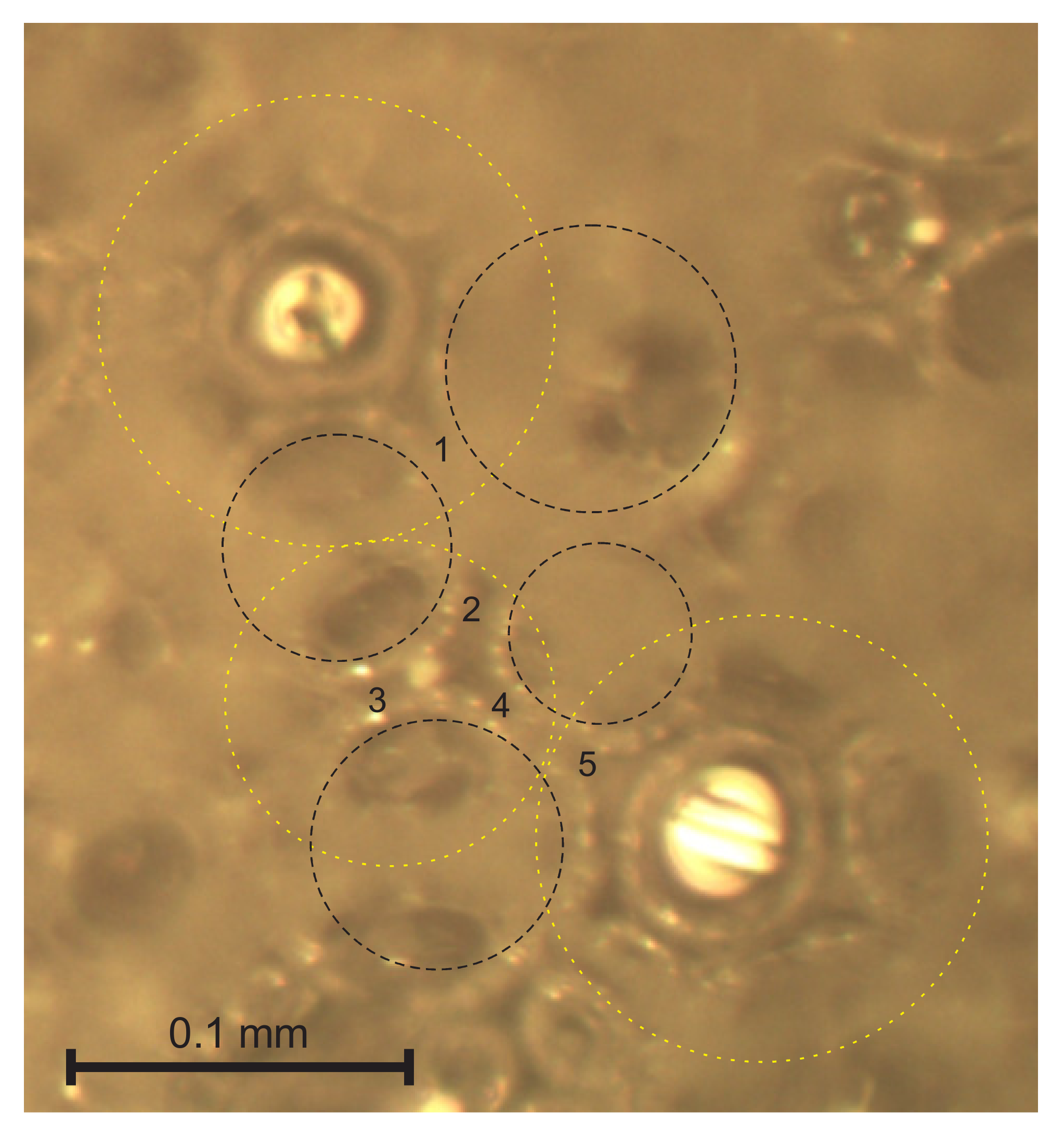 Polymers 14 01154 g006 550