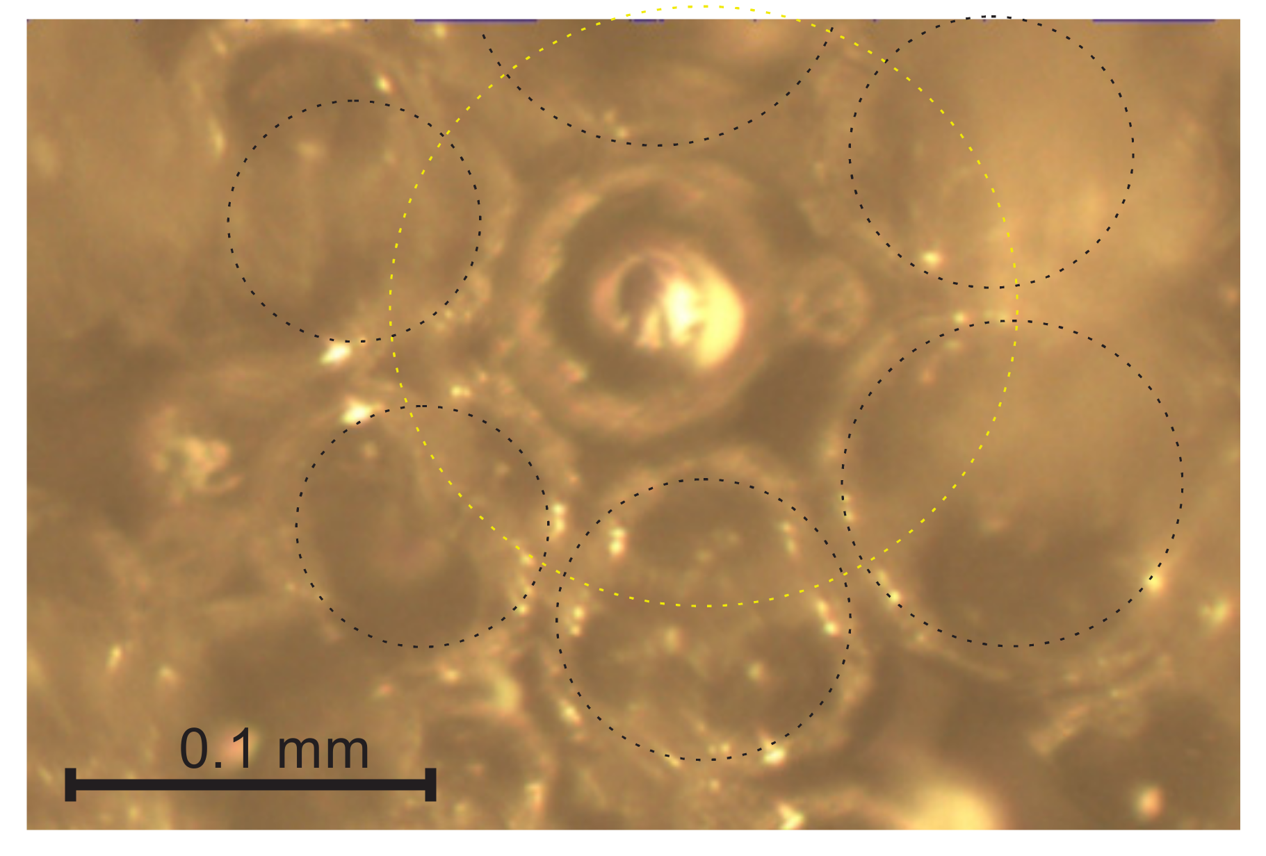 Polymers 14 01154 g007 550