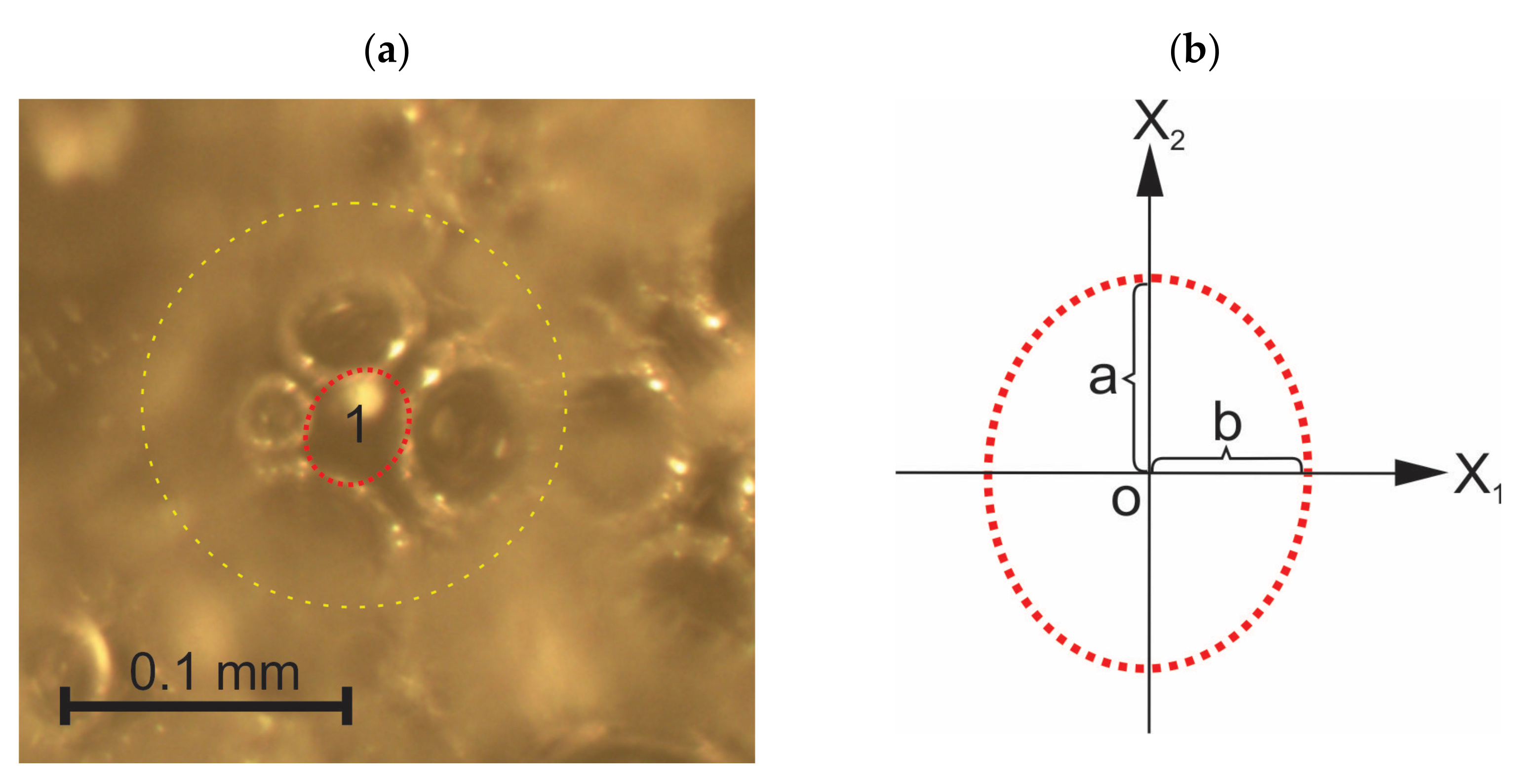Polymers 14 01154 g008 550
