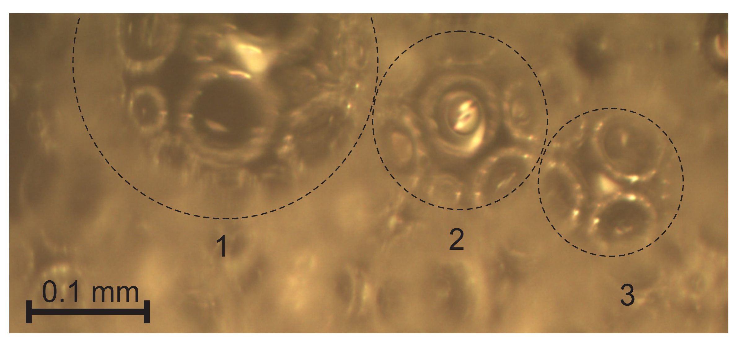 Polymers 14 01154 g013 550