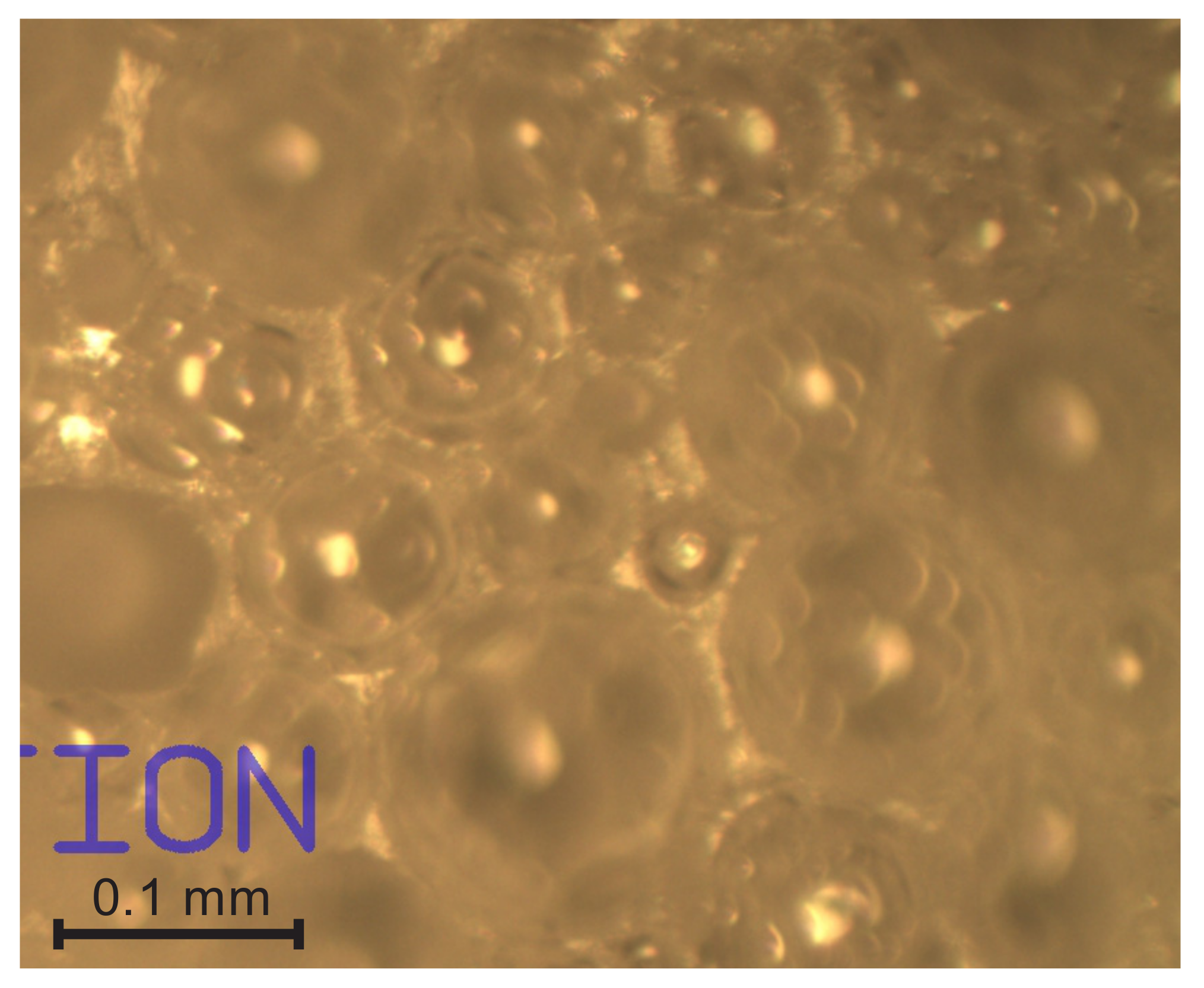 Polymers 14 01154 g014 550