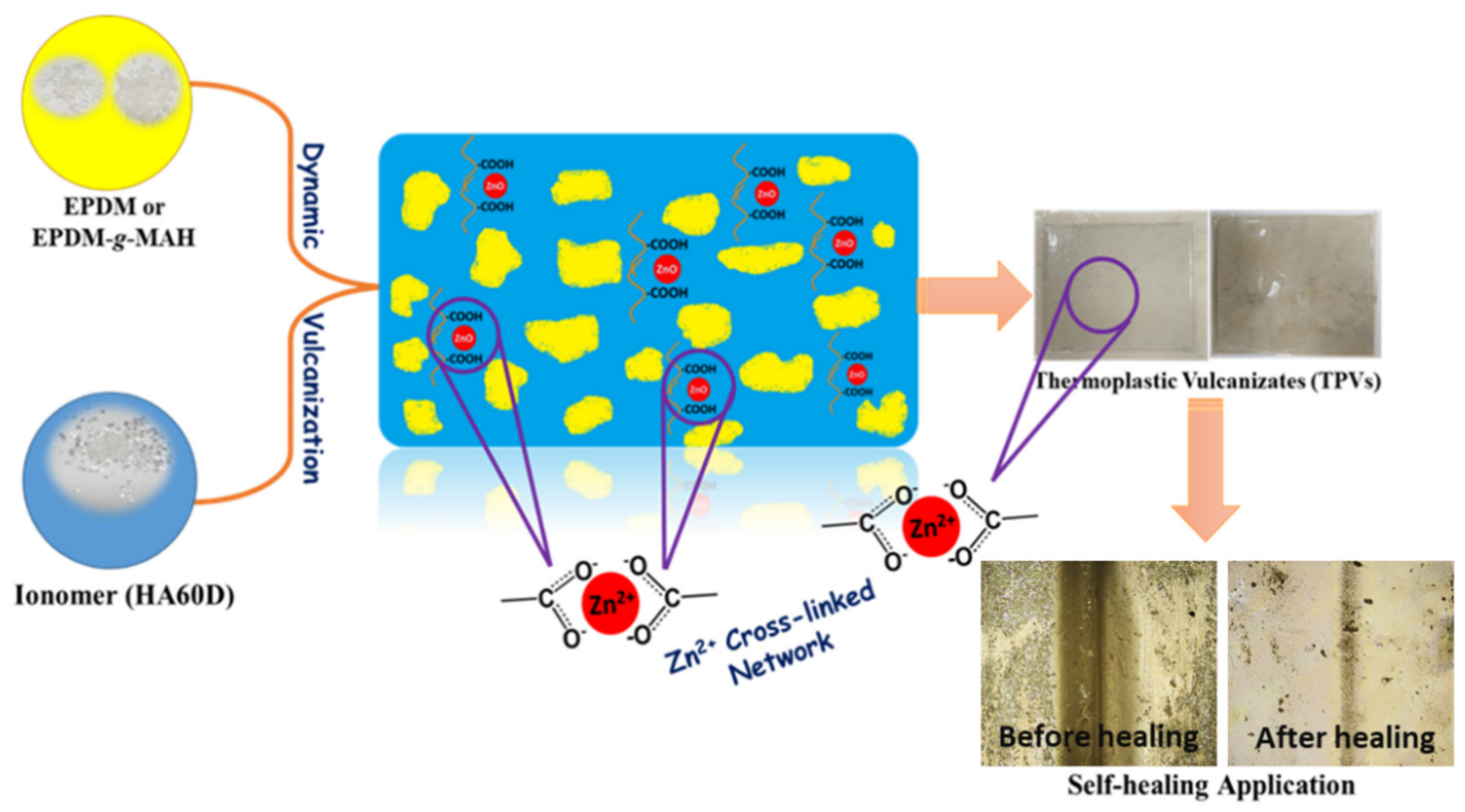 Polymers 14 01156 g001