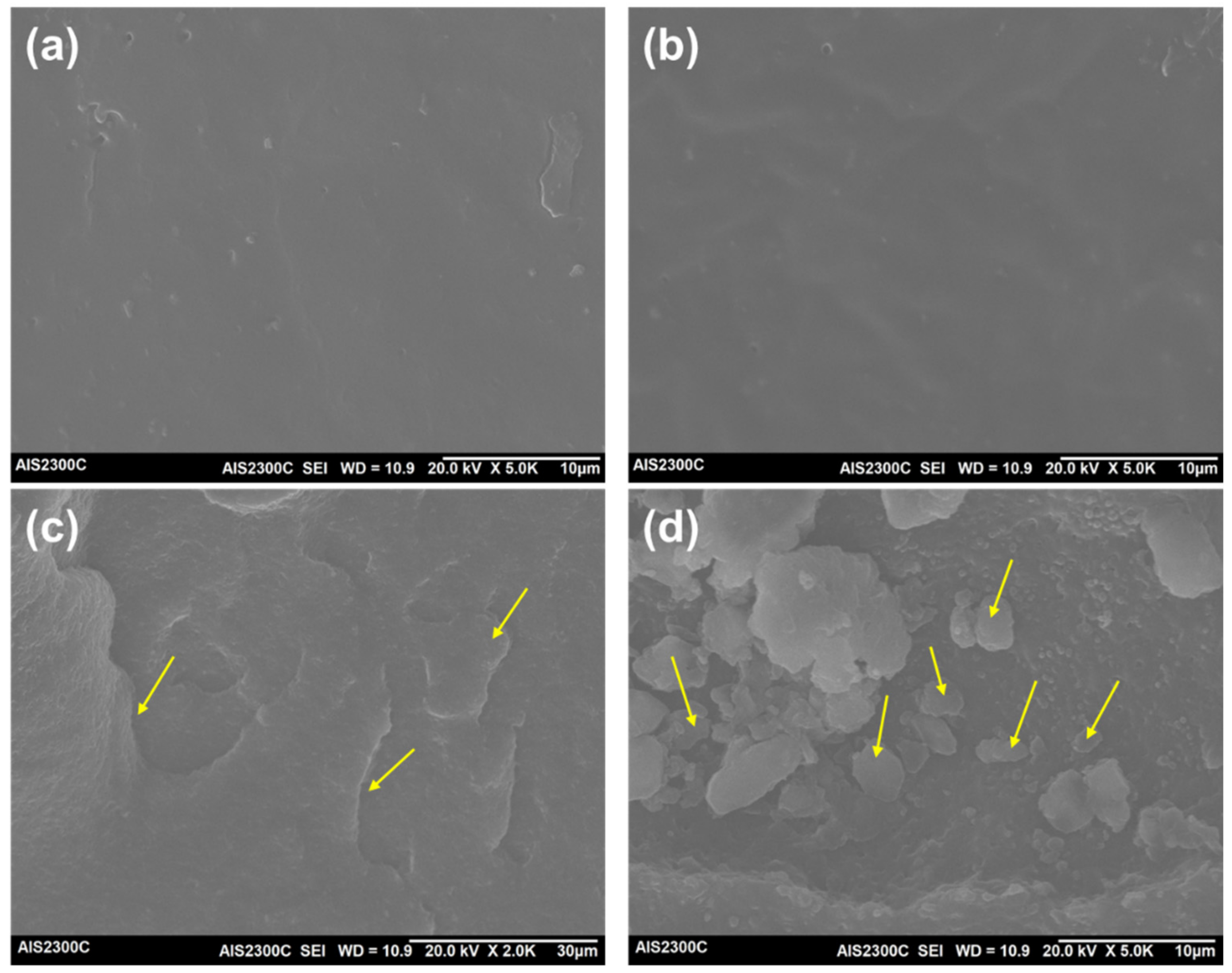 Polymers 14 01156 g007