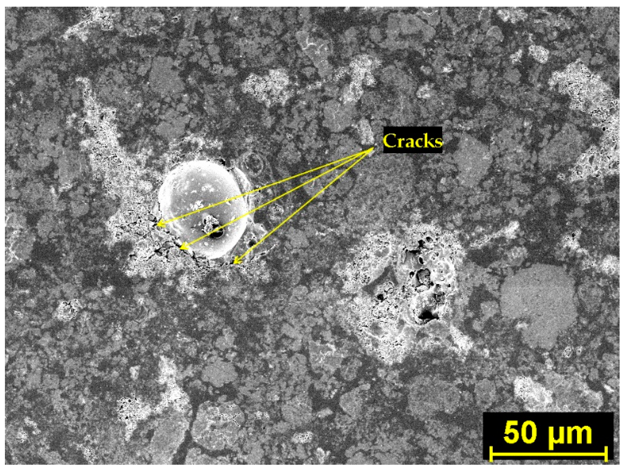 Polymers 14 01162 g006