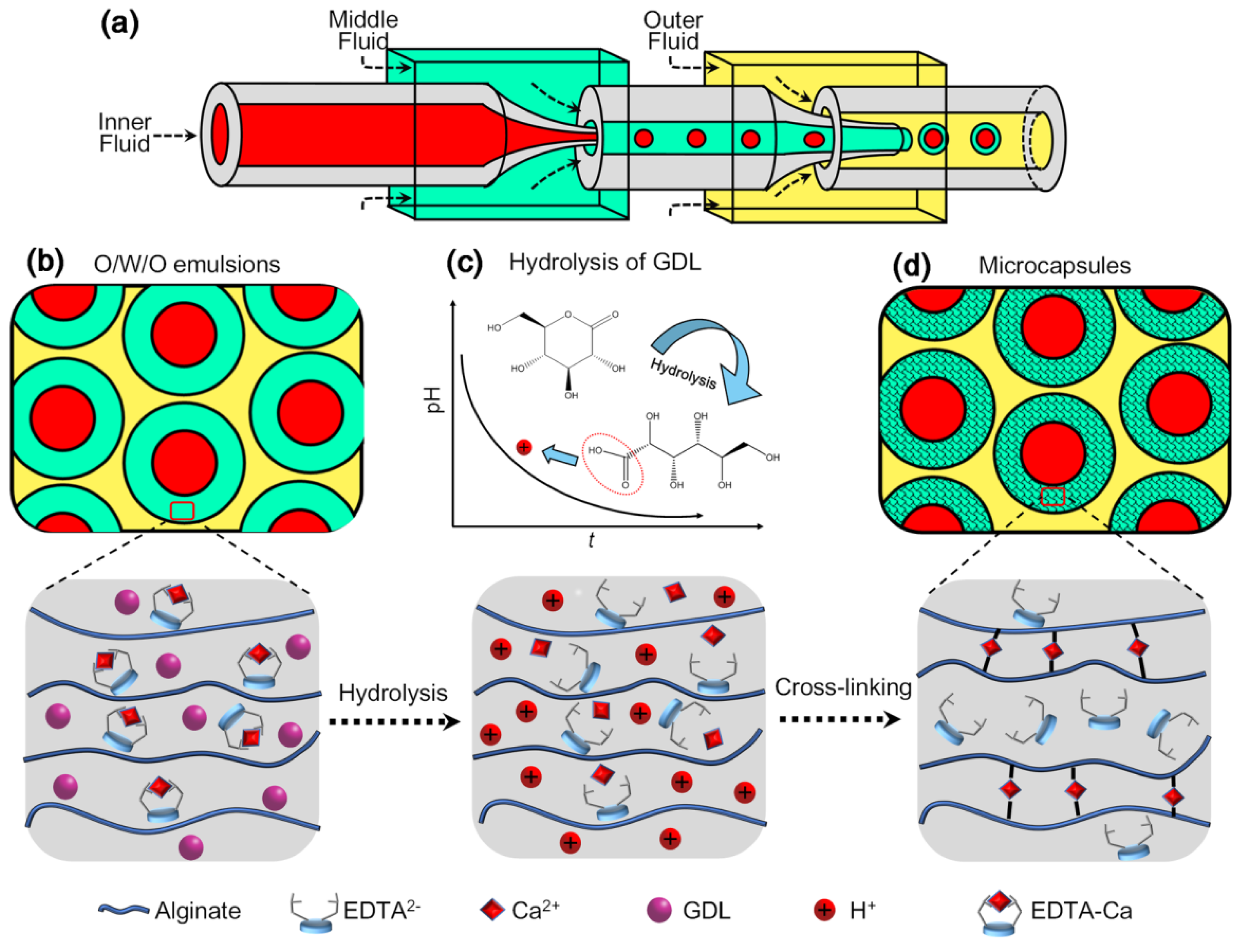 Polymers 14 01165 g001