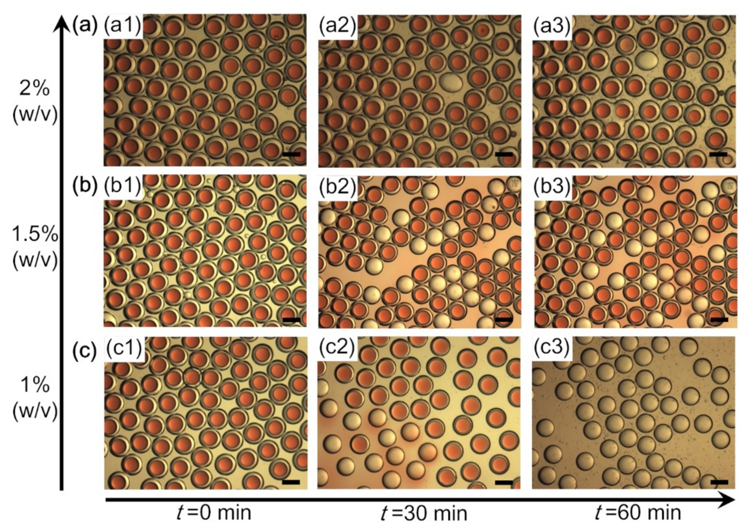 Polymers 14 01165 g005