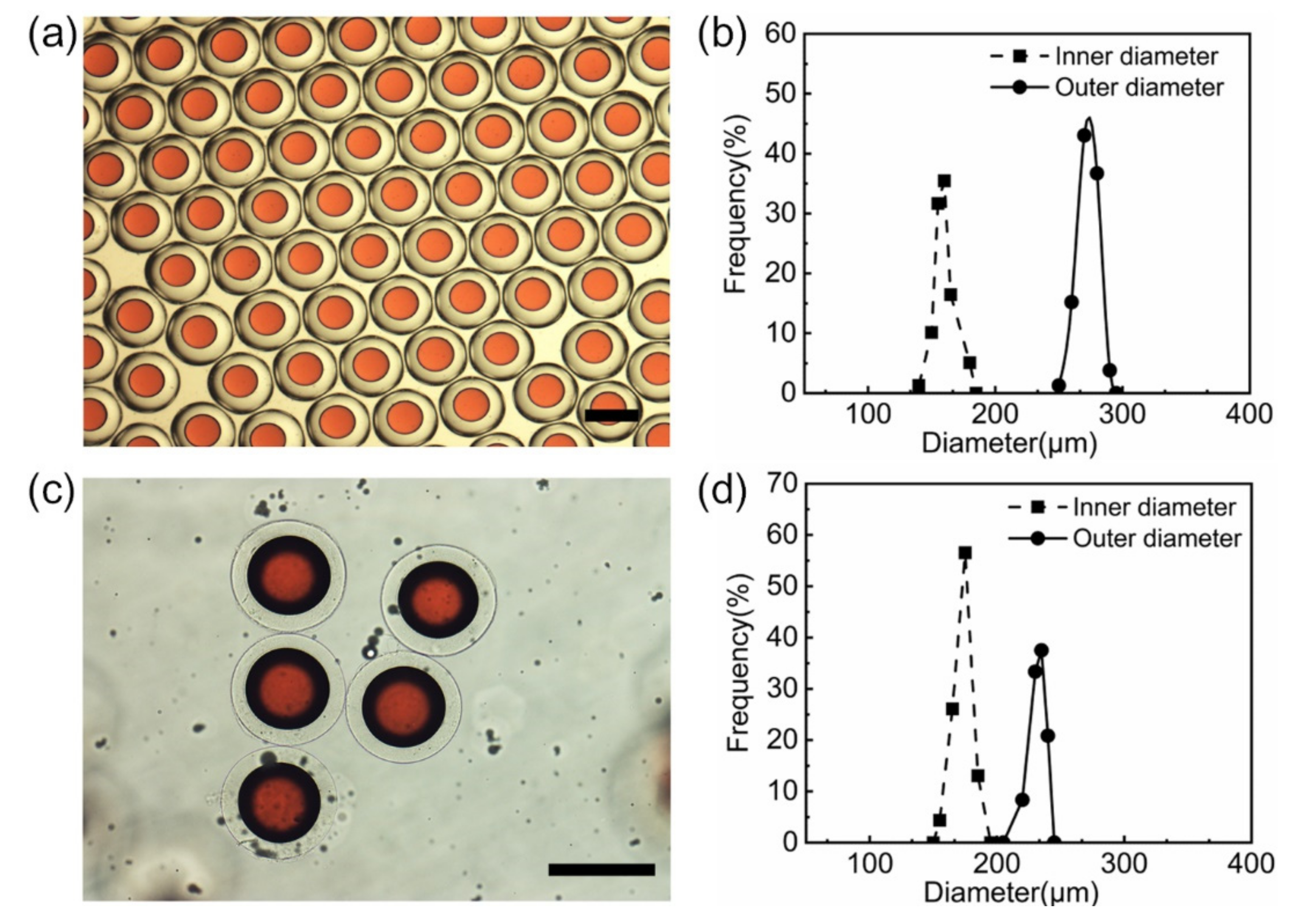 Polymers 14 01165 g006