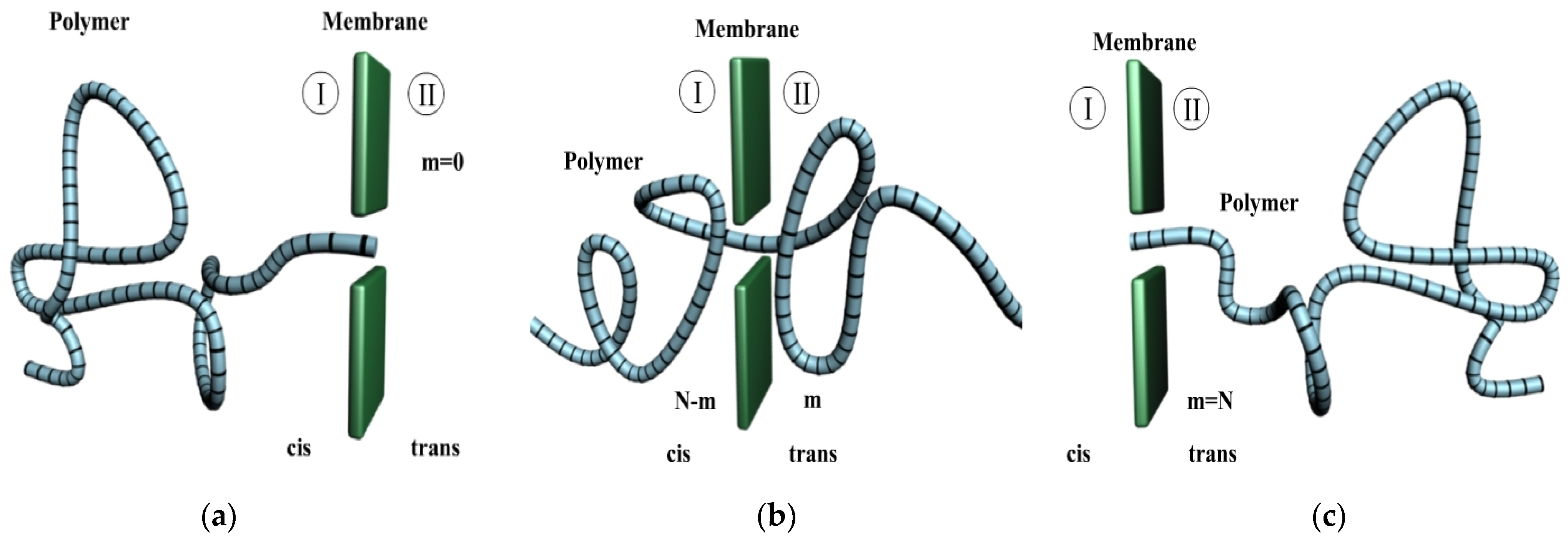 Polymers 14 01166 g001