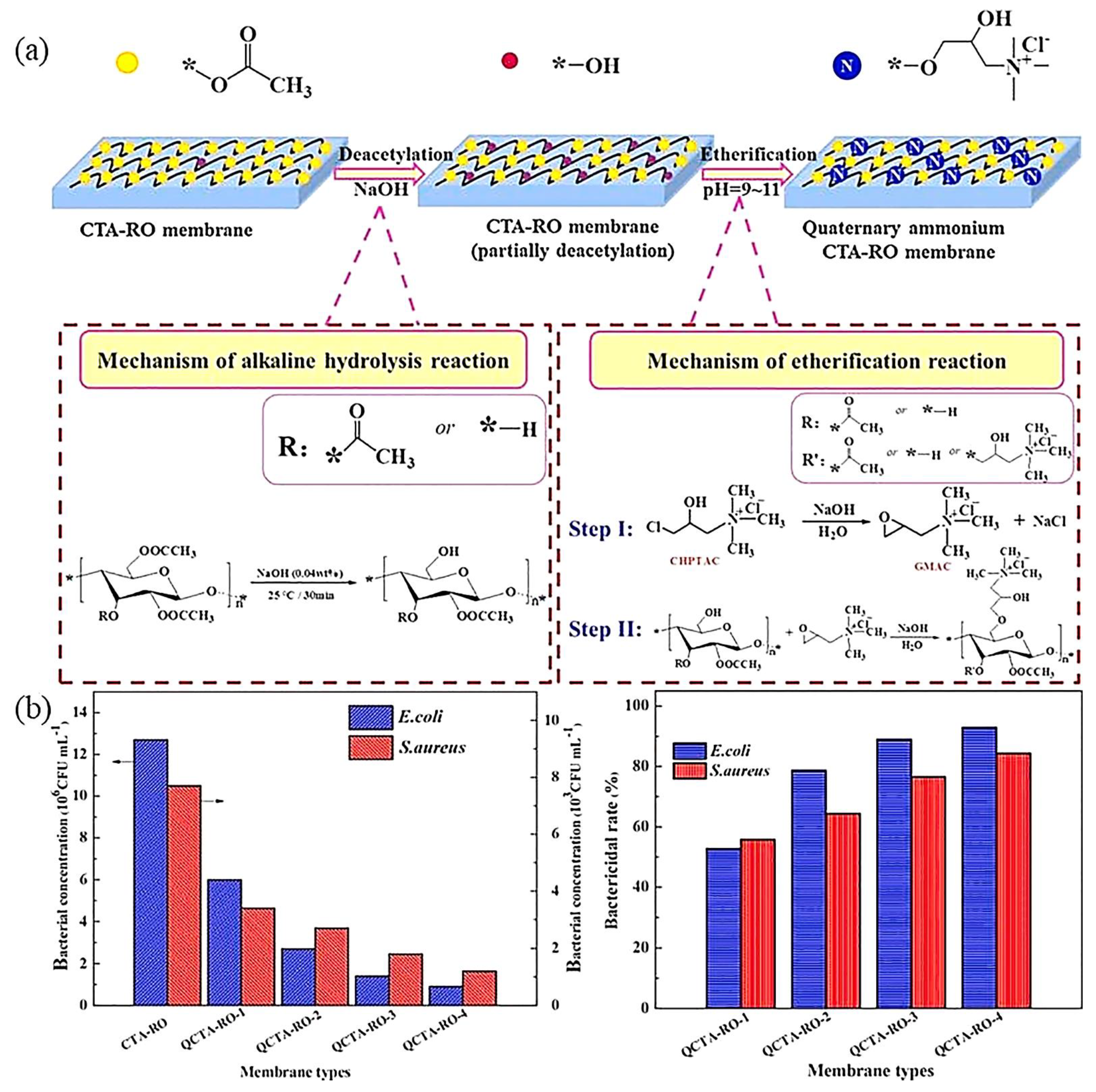 Polymers 14 01167 g006 550