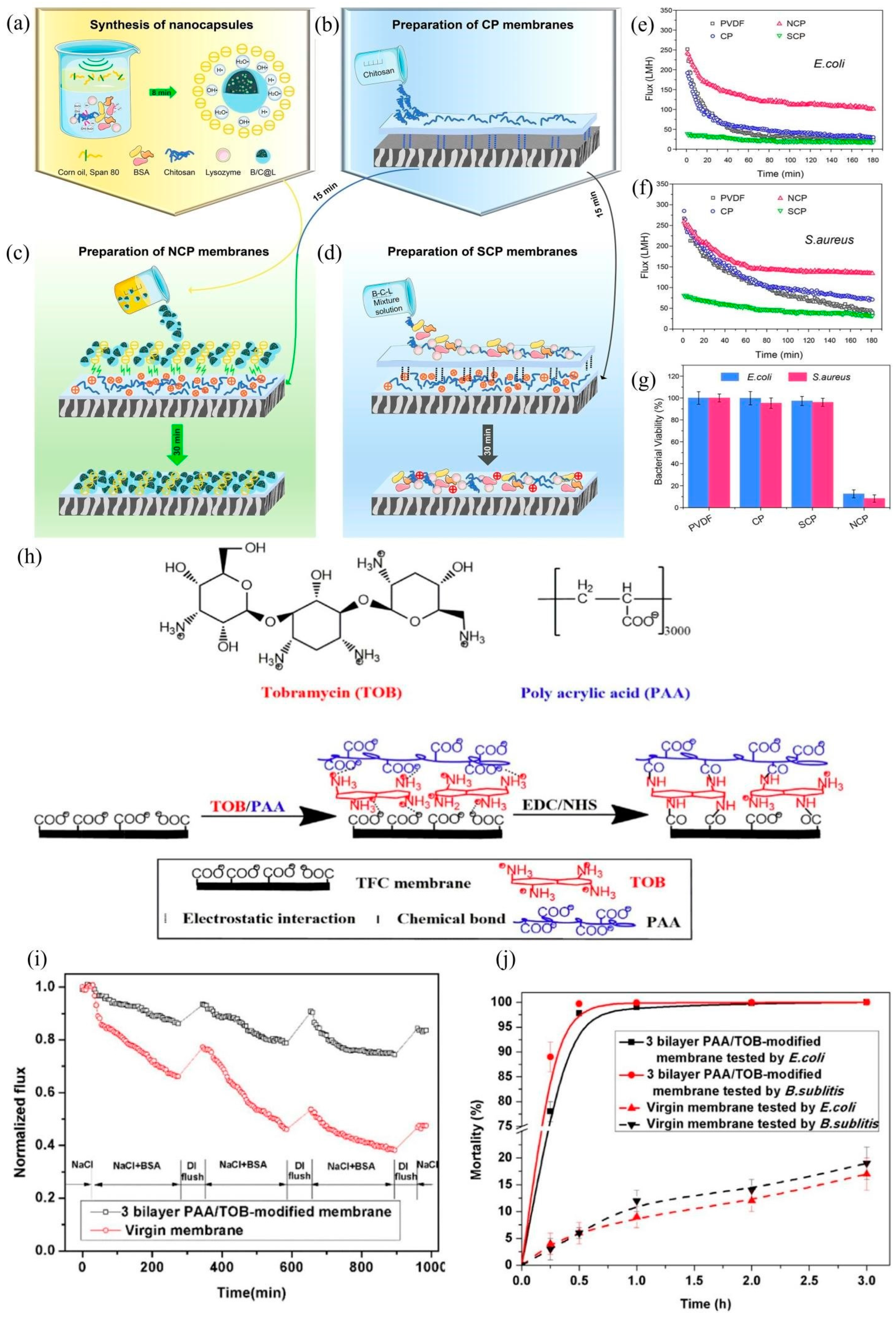 Polymers 14 01167 g008 550