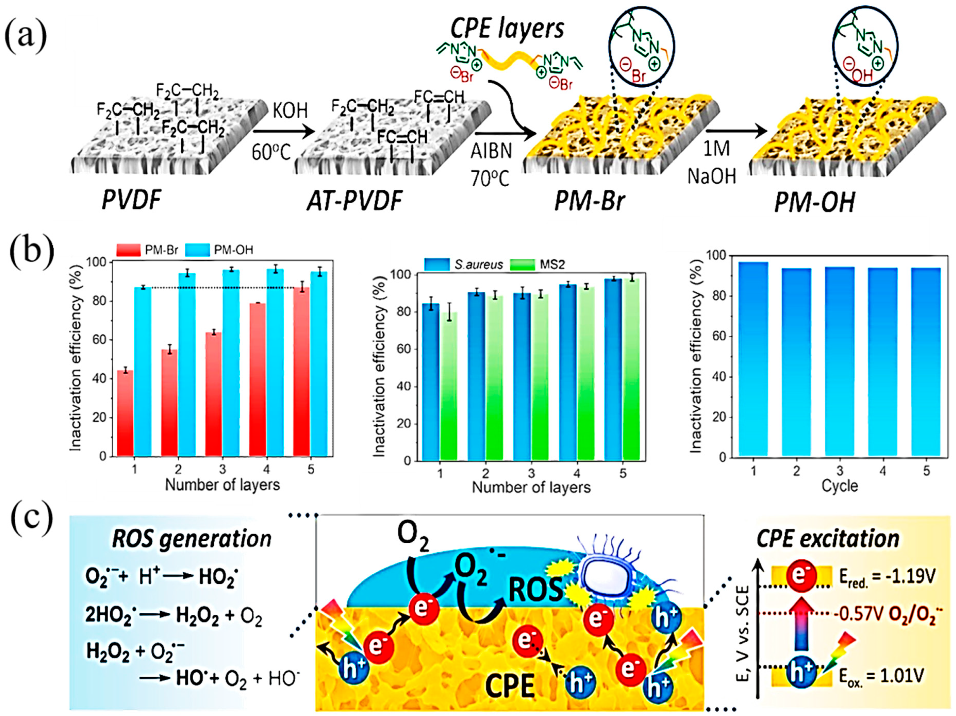 Polymers 14 01167 g009 550