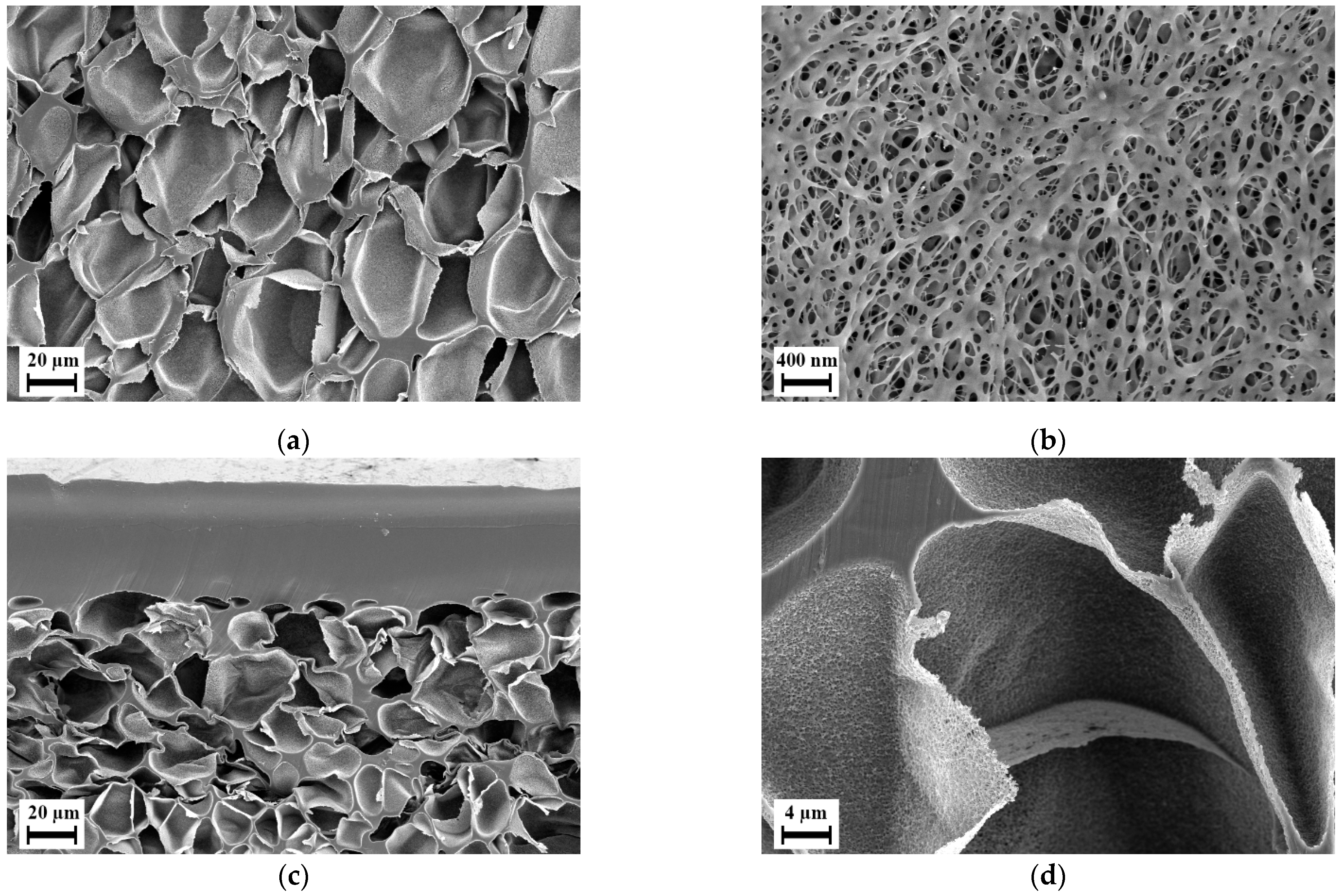 Polymers 14 01177 g008 Polymers 14 01177 g008