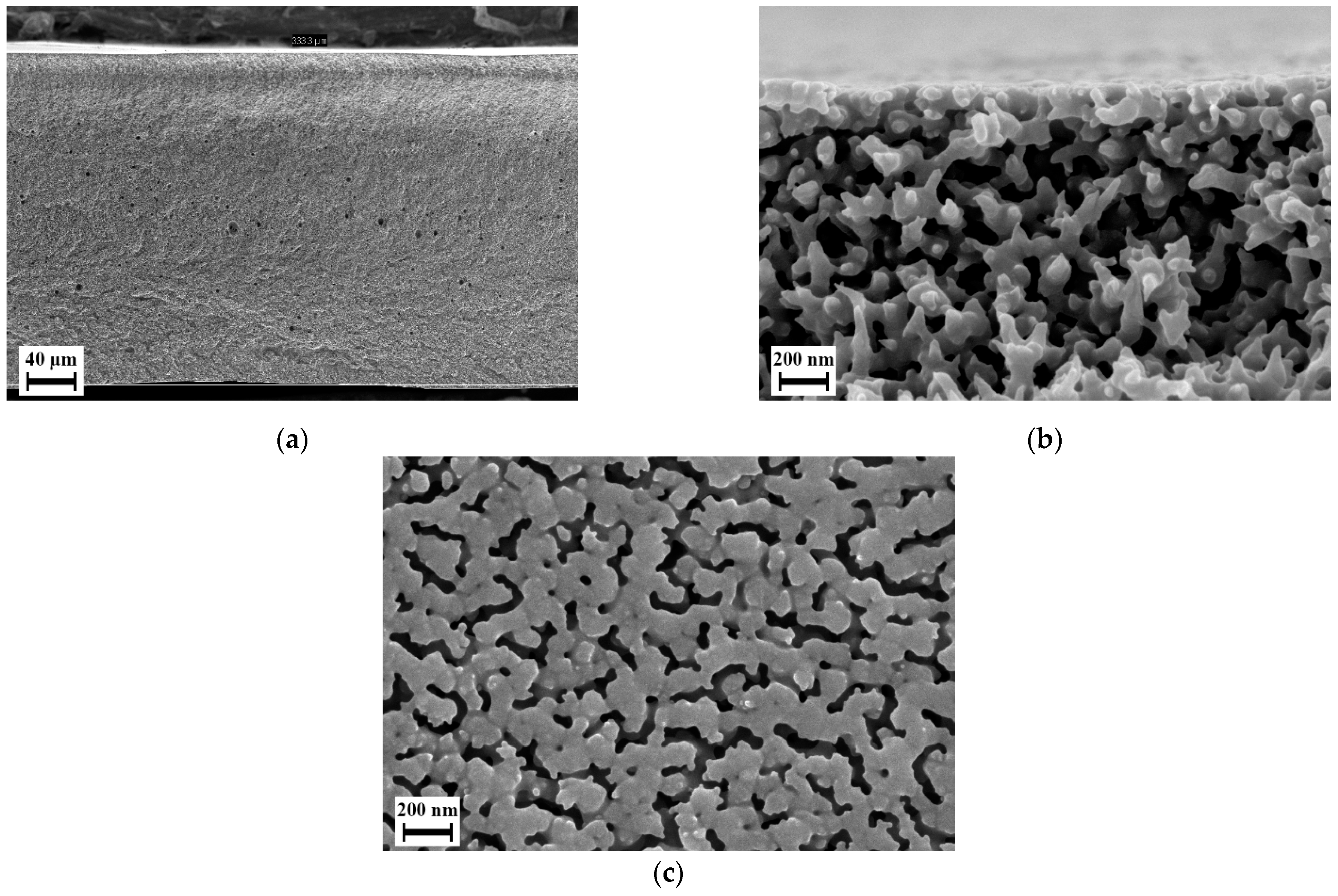 Polymers 14 01177 g012 Polymers 14 01177 g012