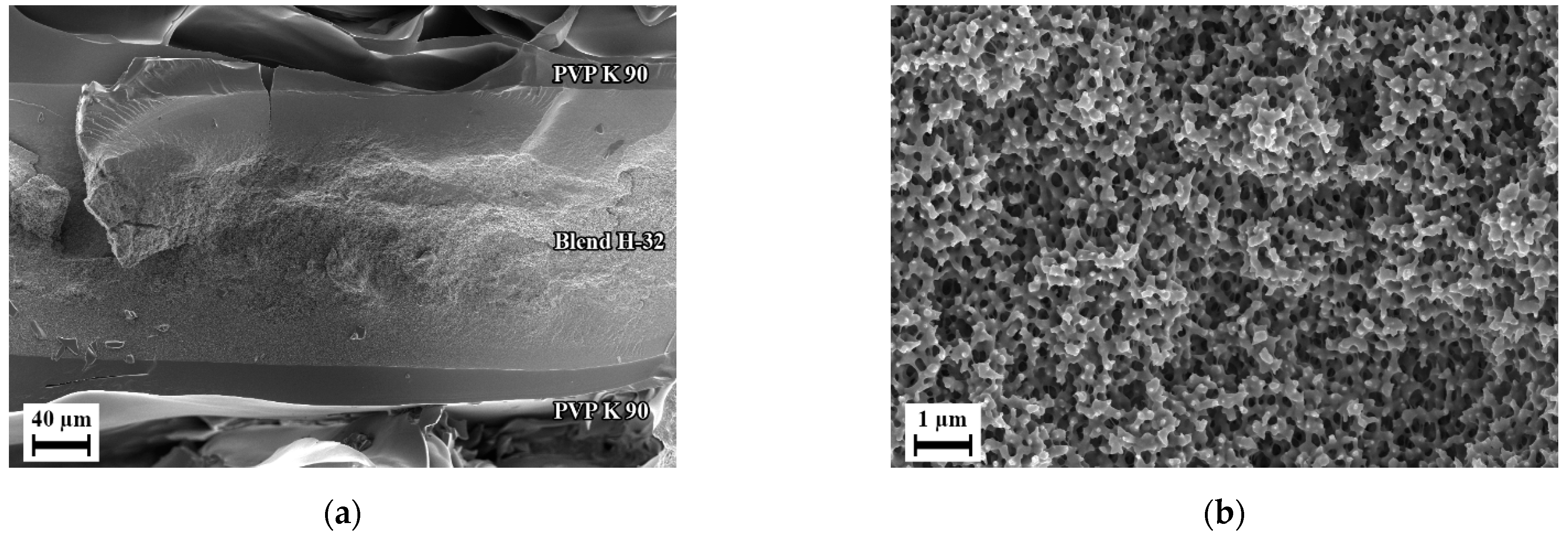 Polymers 14 01177 g014 Polymers 14 01177 g014