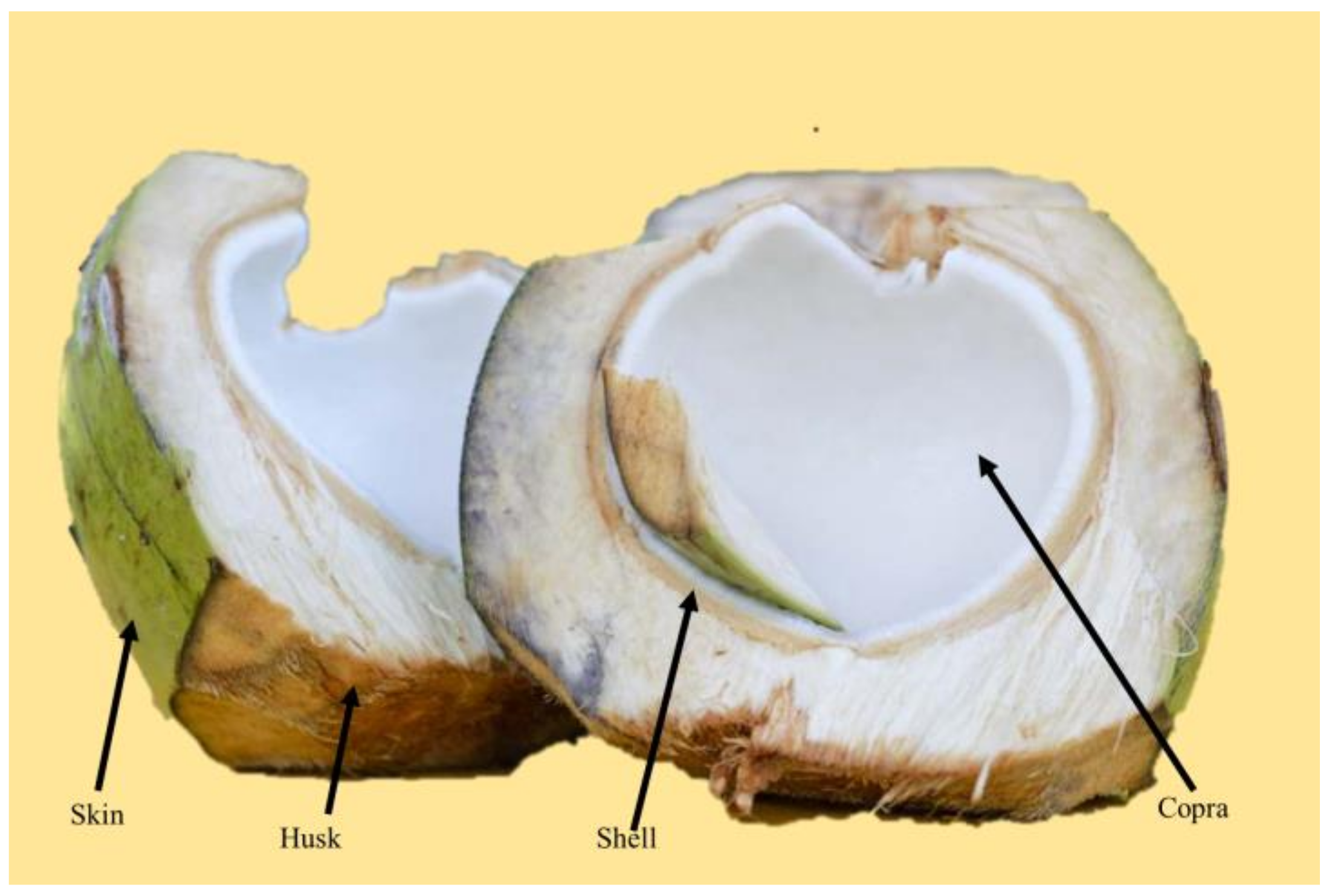Polymers 14 01180 g004