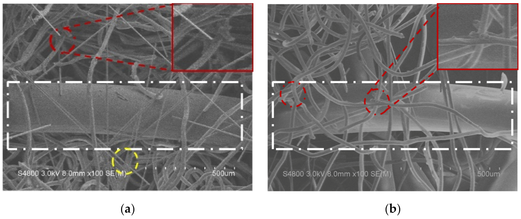 Polymers 14 01181 g002a 550